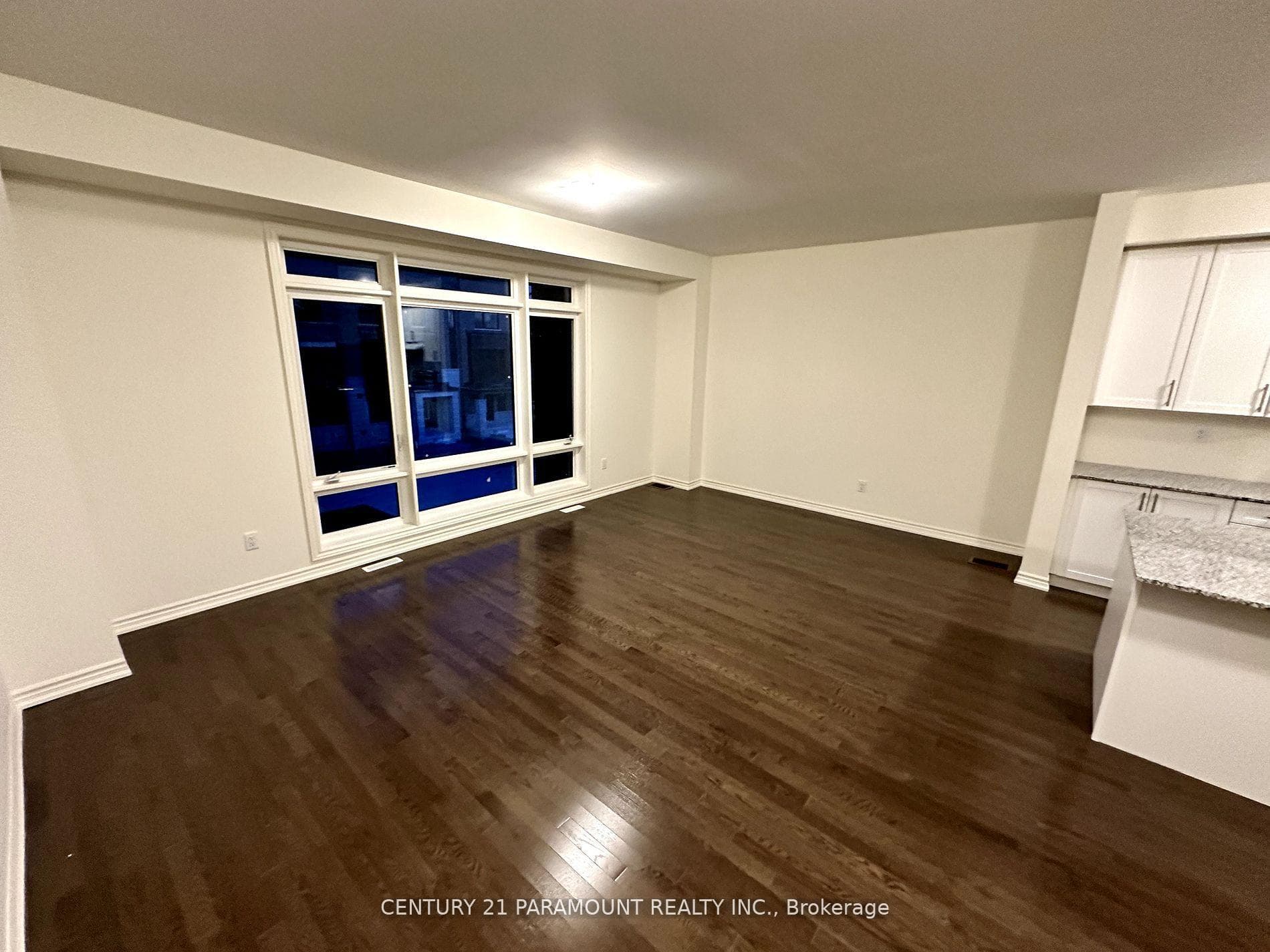 532 Danks Rdg Drive photo 11