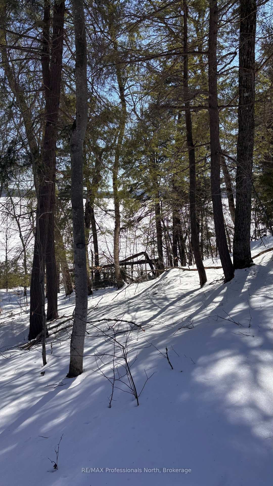 Lot 26 Flatwater Cove Trail photo 3