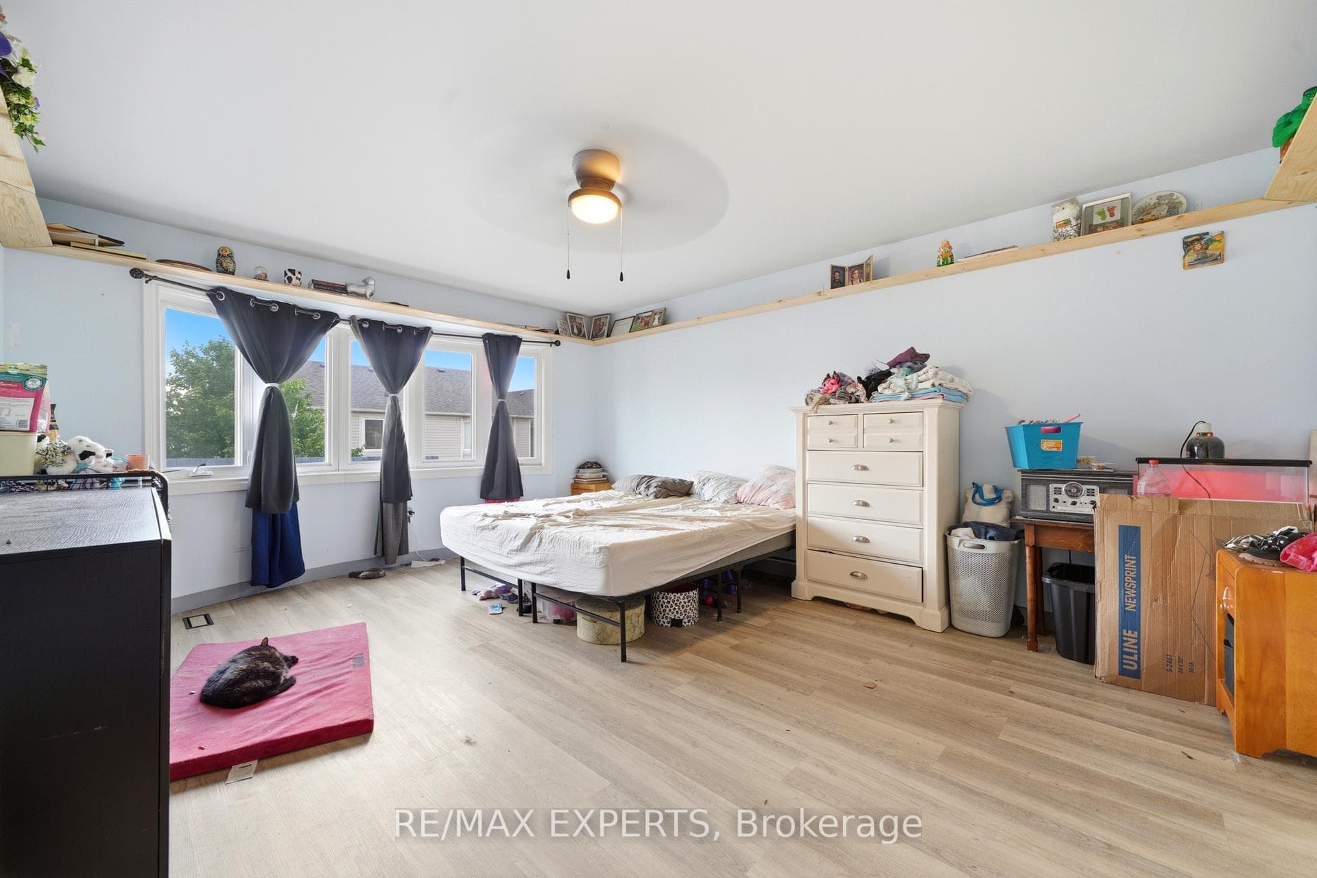 27 Kidd Crescent photo 21