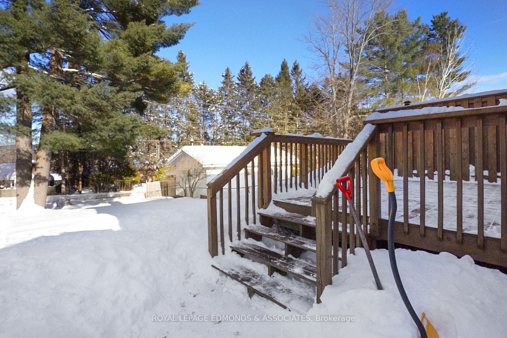 33A Hillcrest Avenue photo 41