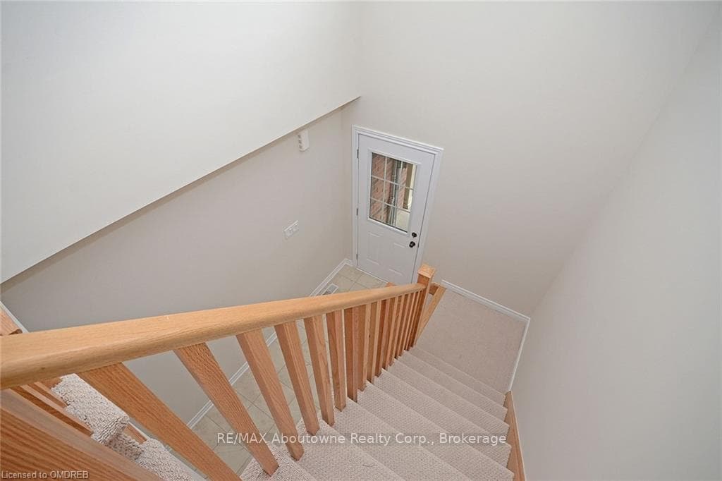 Stairs with carpet floors