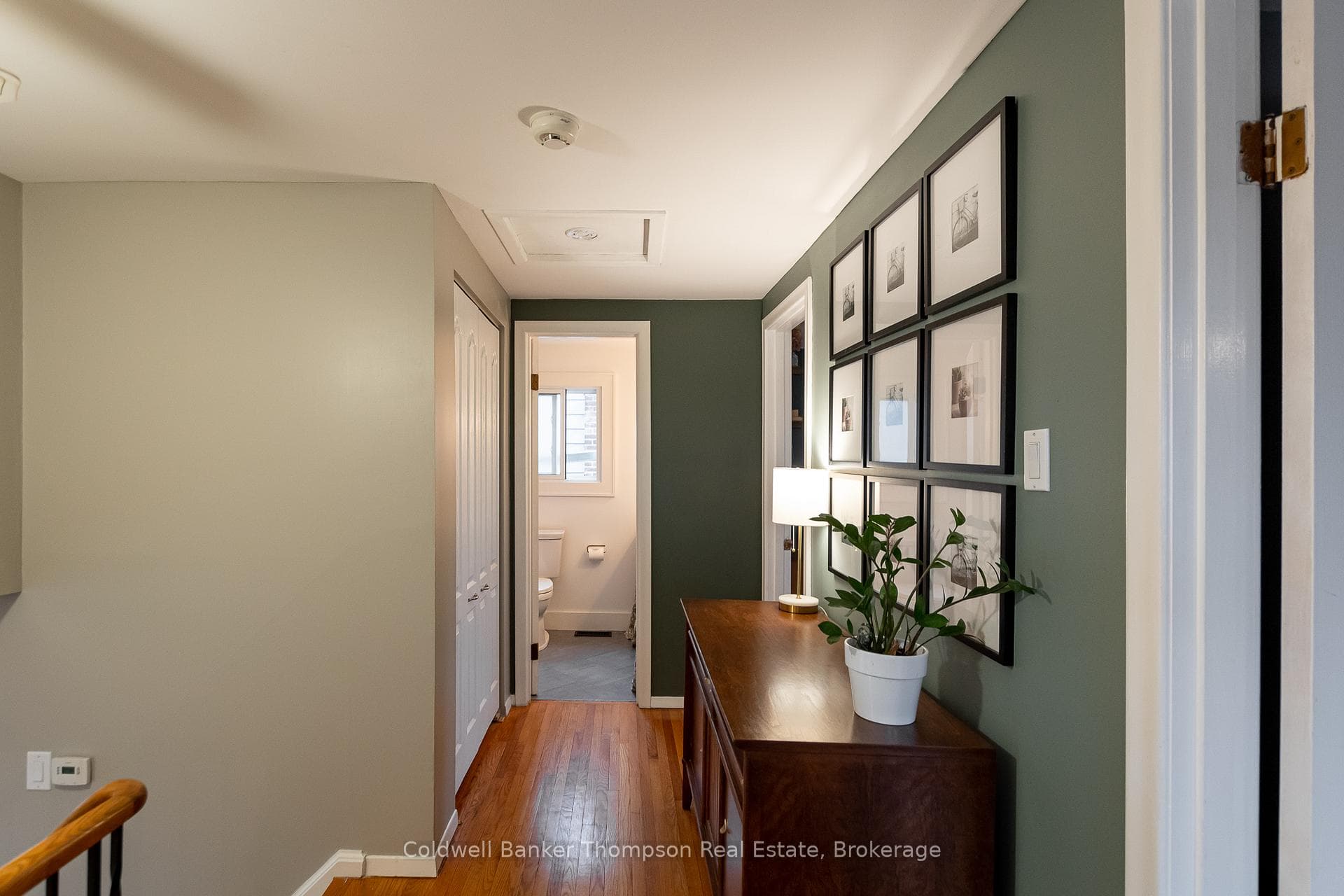 12 Cora Street photo 16