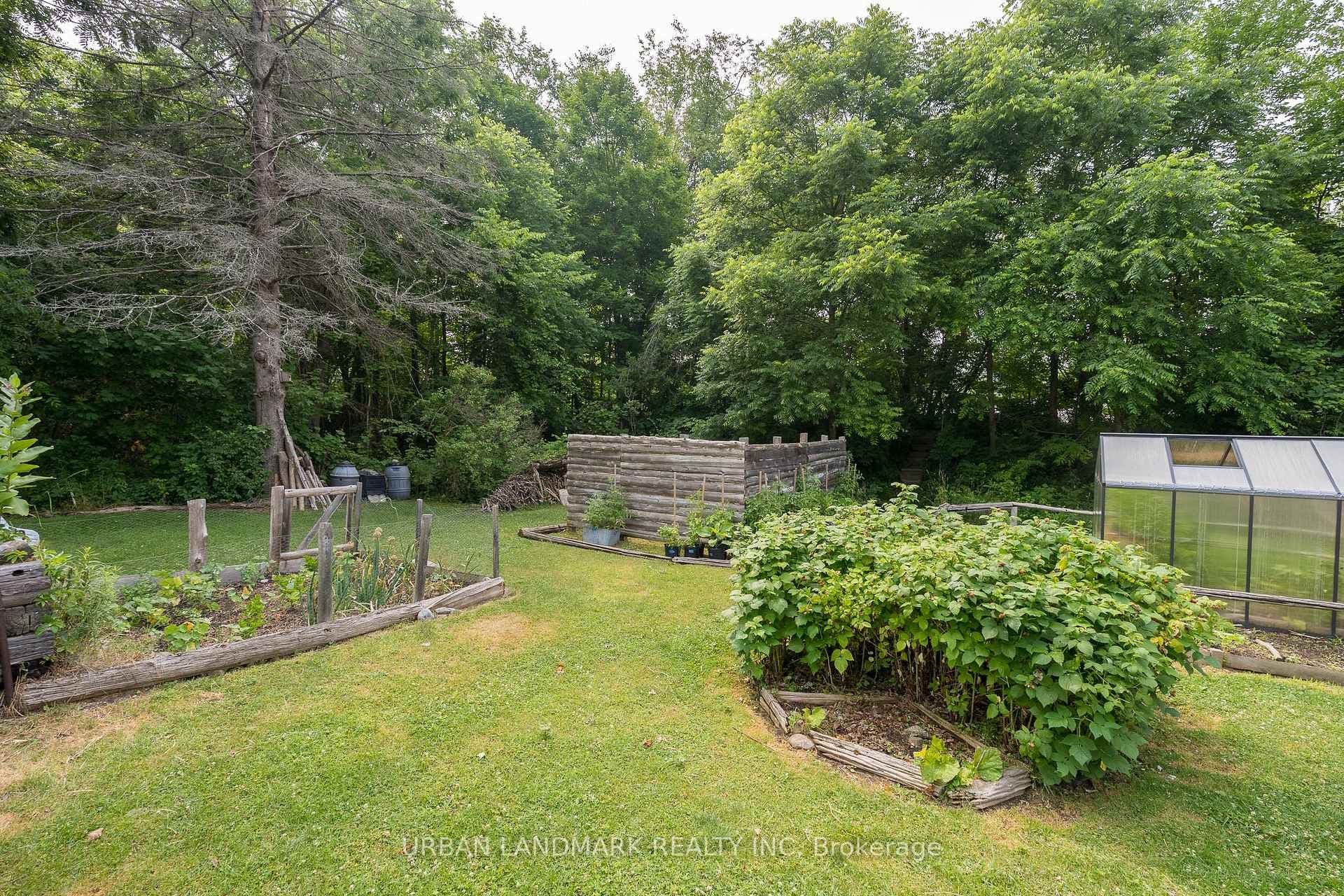 41 Dingman Street photo 21