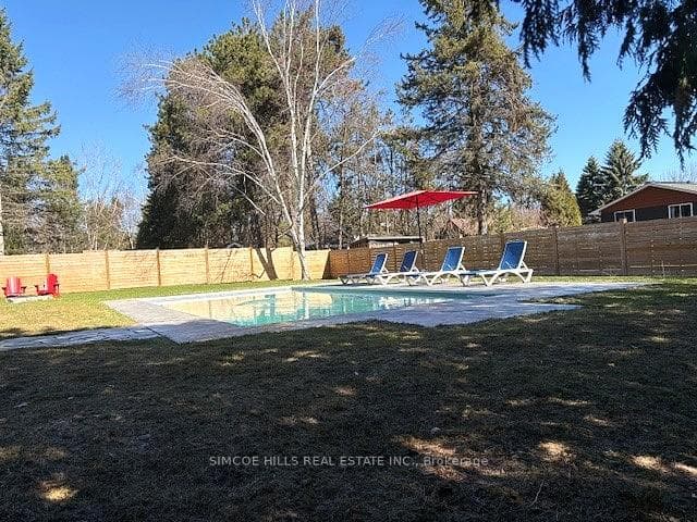 back yard pool