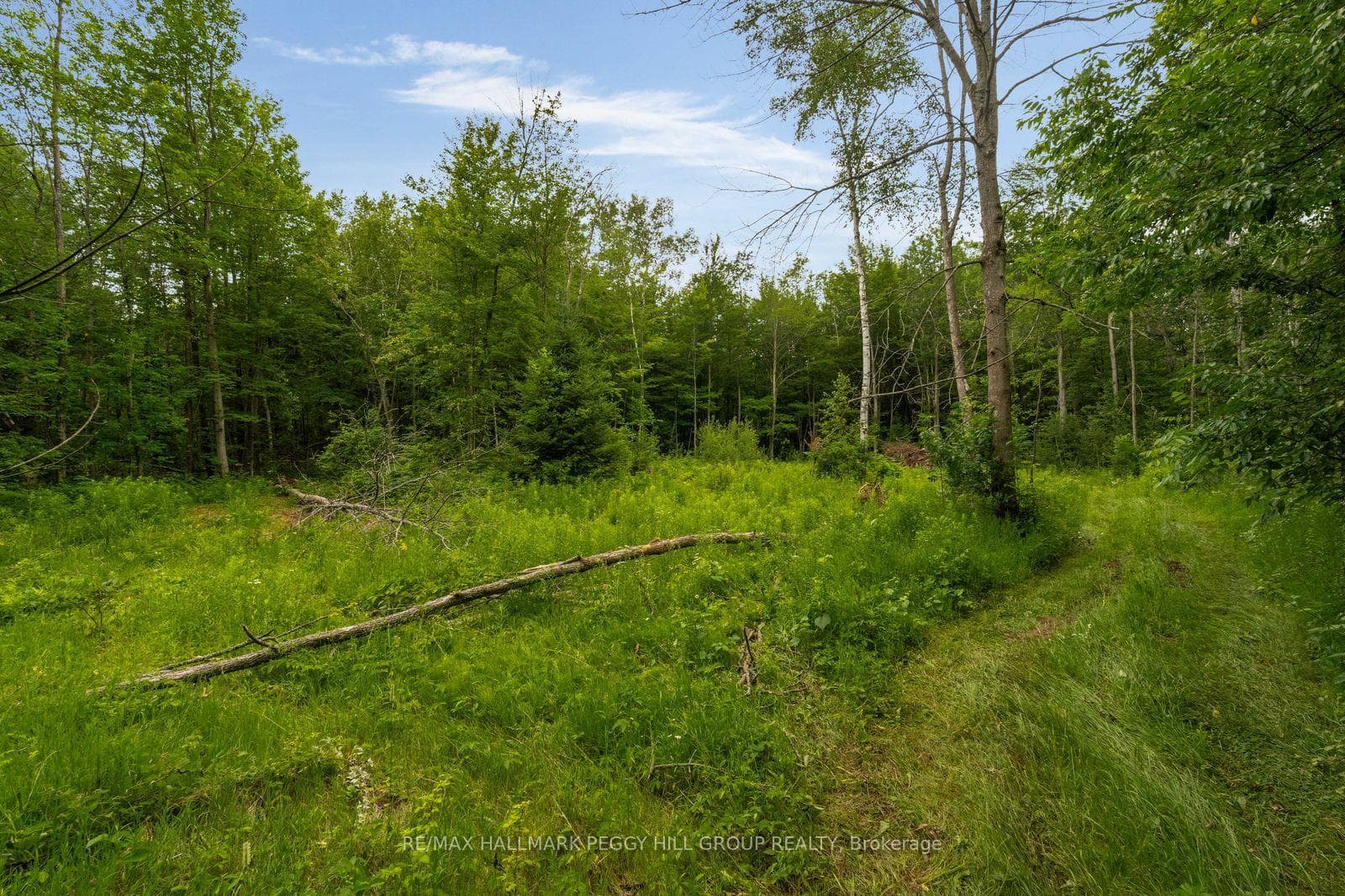 3664 Hogback Road photo 10