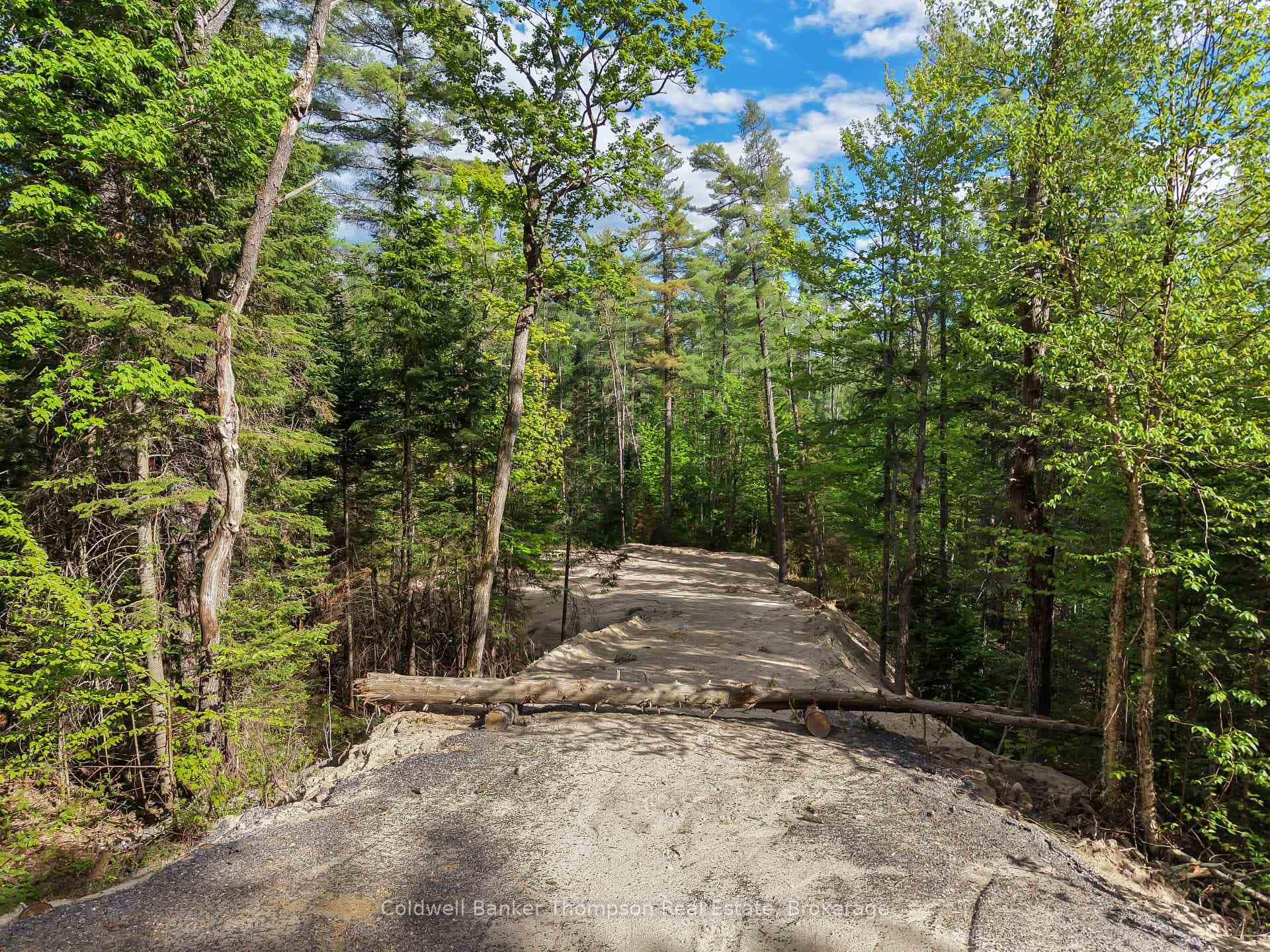PART 6 AXE LAKE Road photo 9