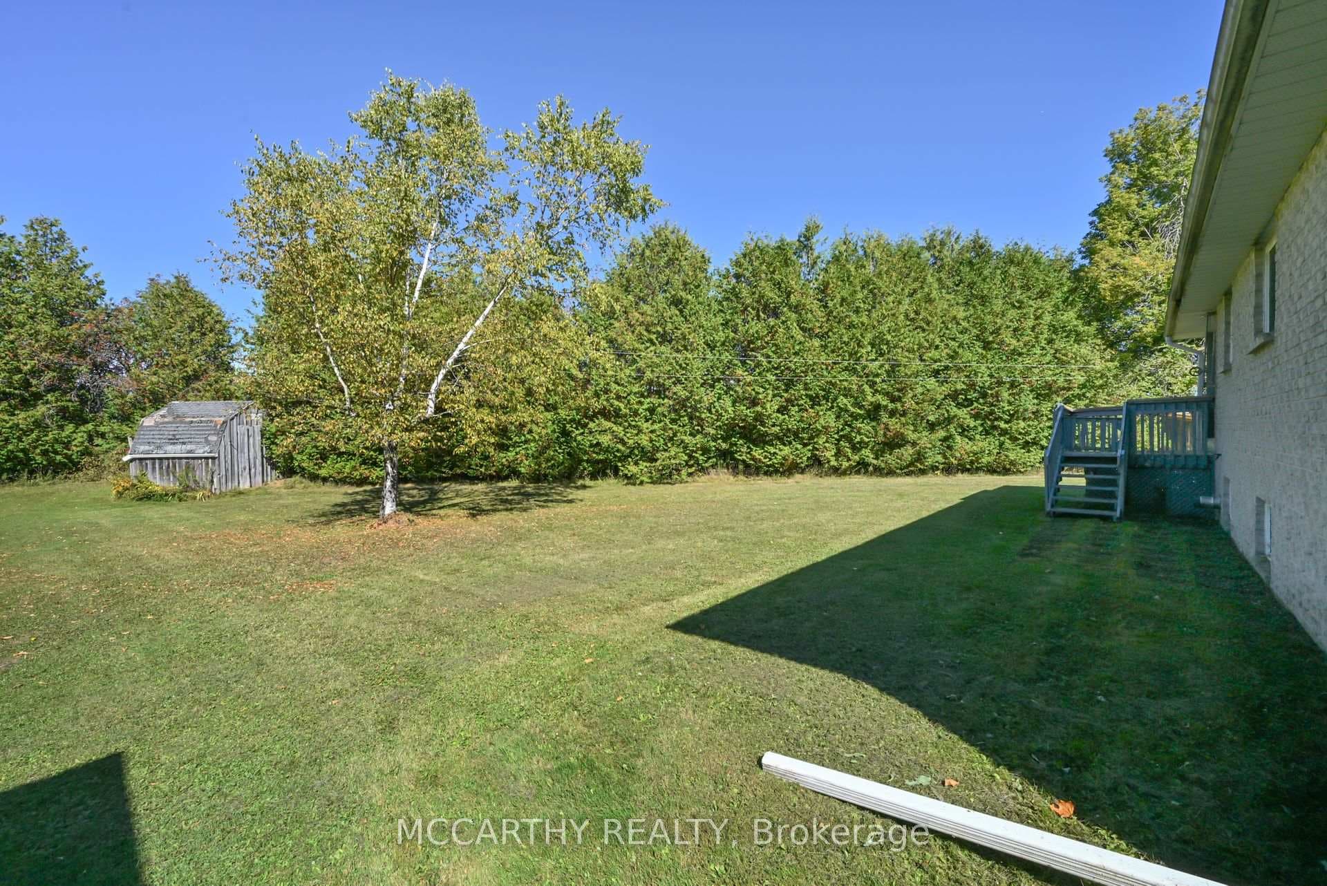 Large Yard, private trees all around