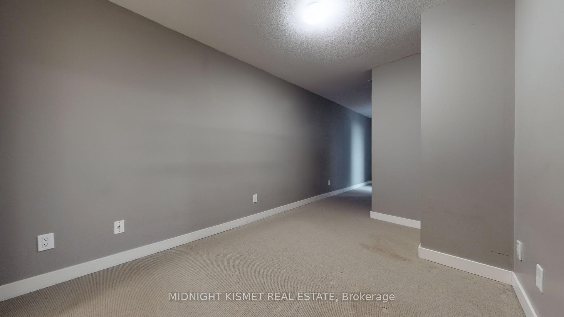 50 Lynn Williams Street Unit 419 photo 13