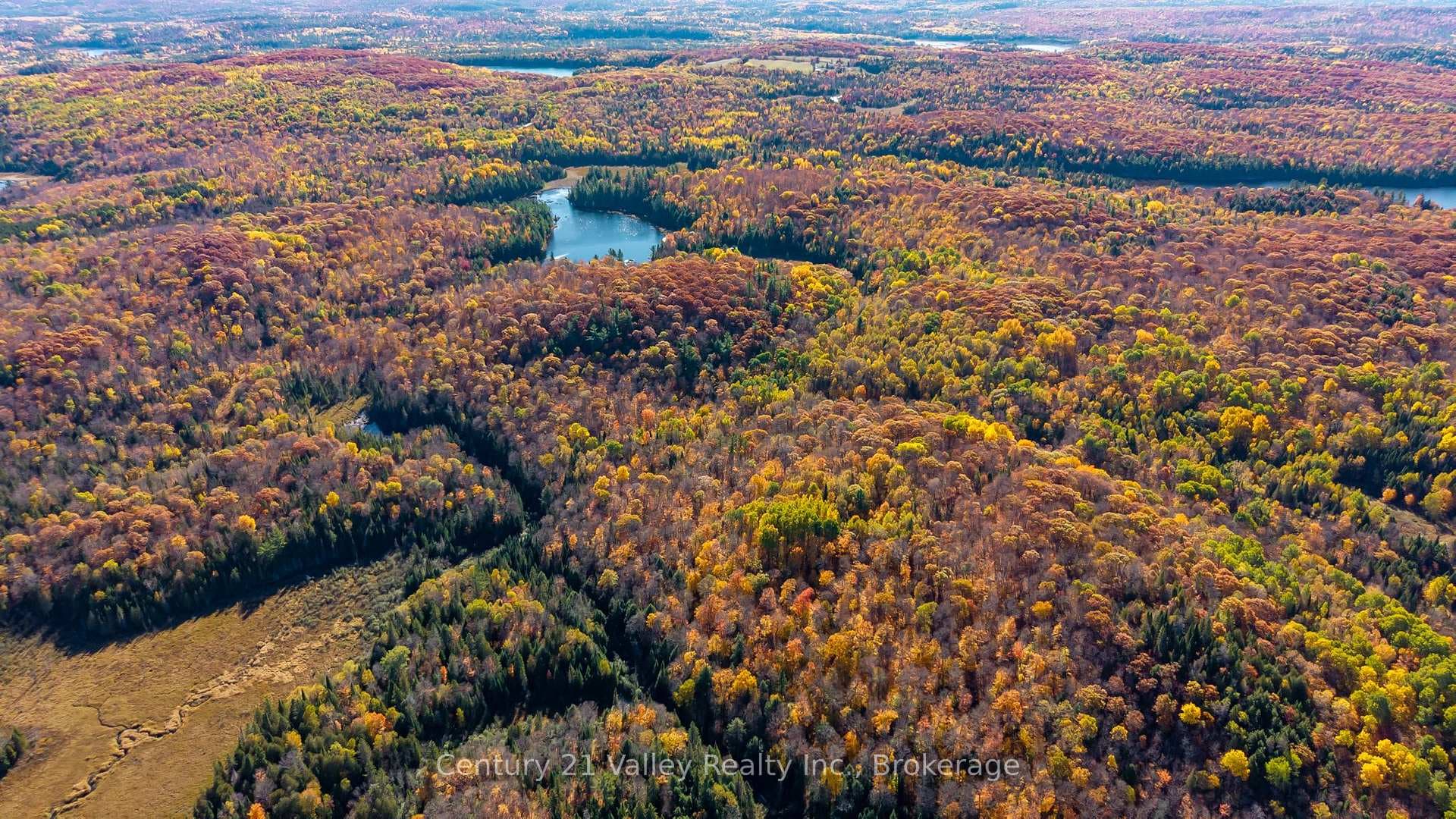 170 Schavens Lake Road photo 20