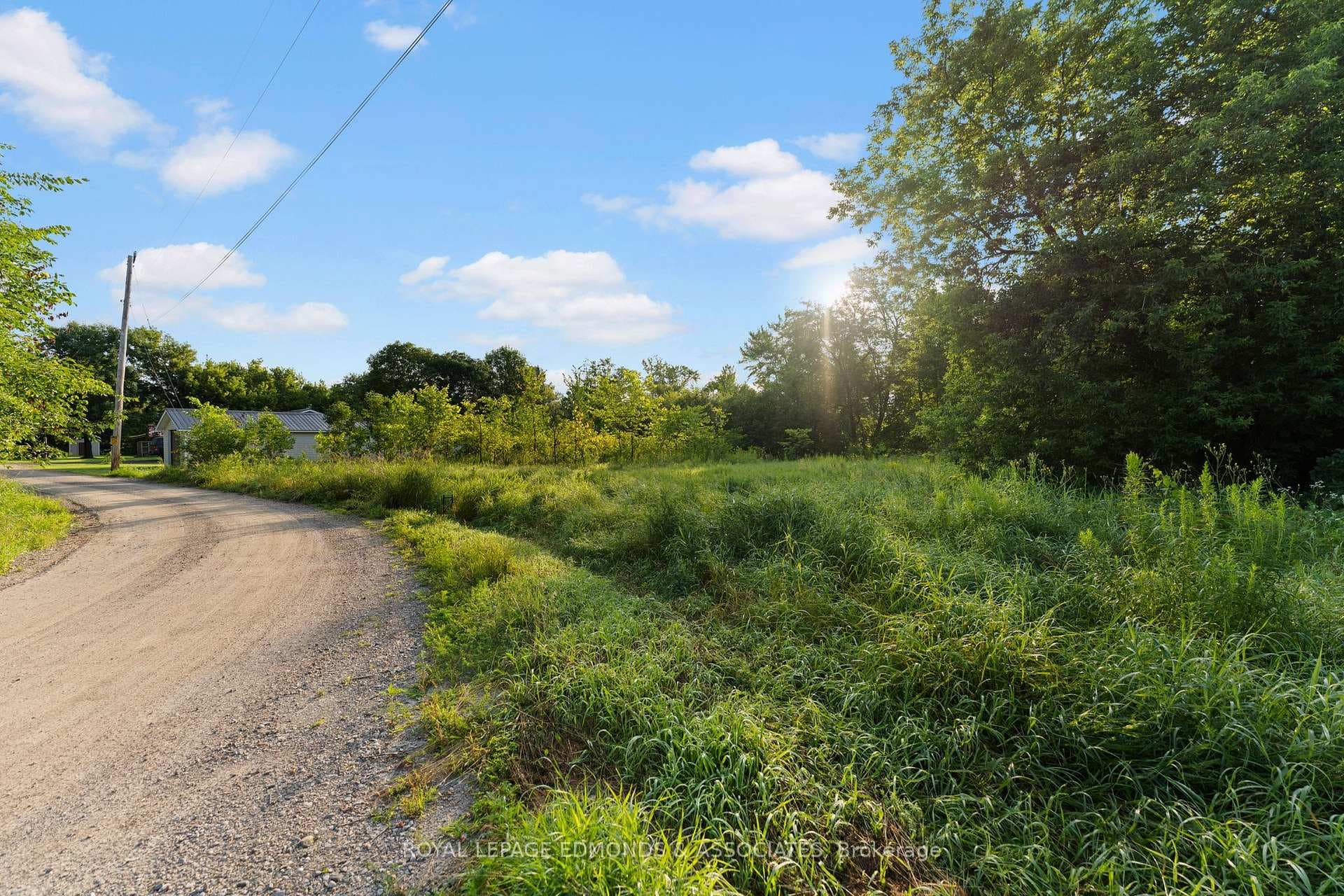 107 Purple Finch Trail photo 15