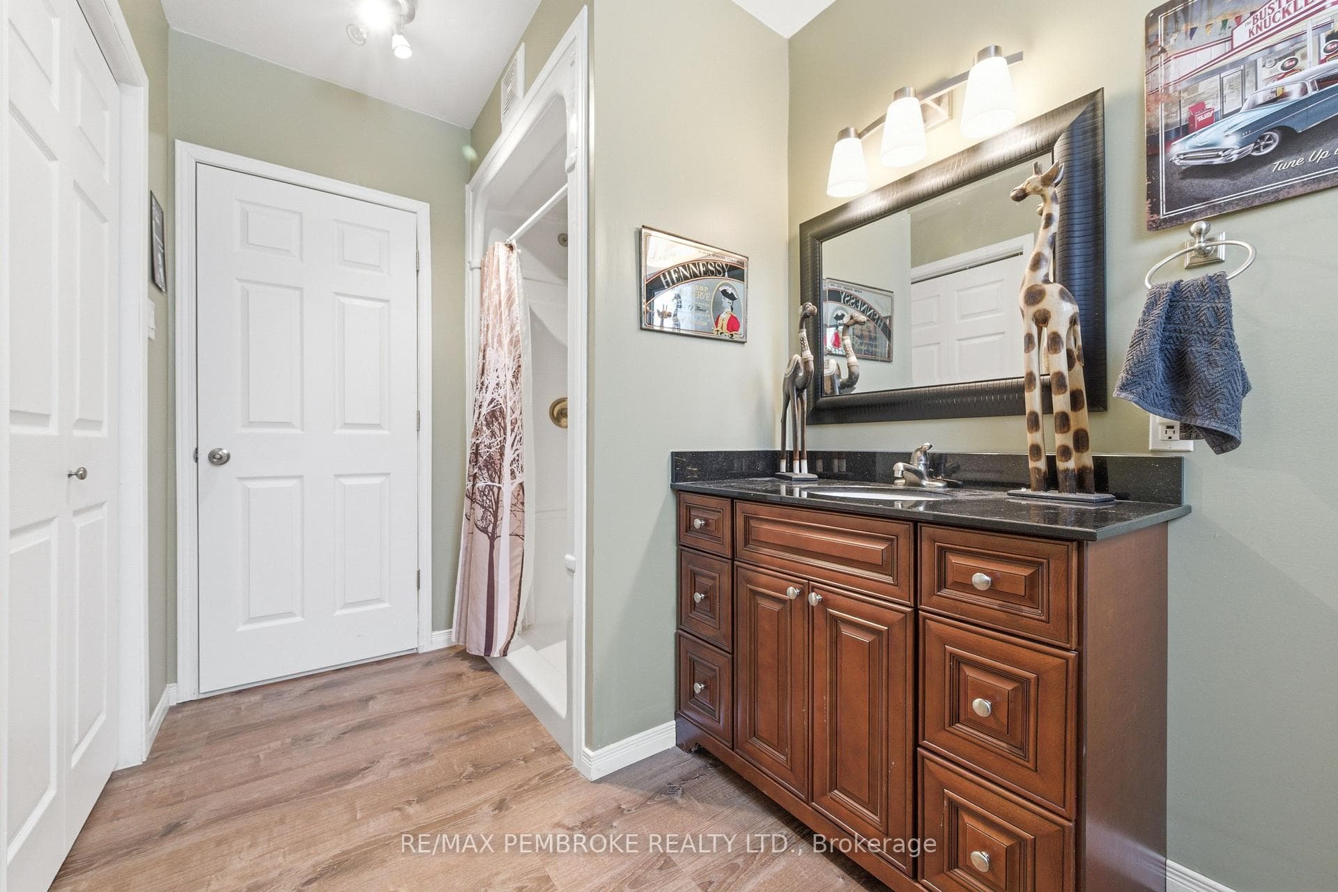 Lower level bathroom with shower