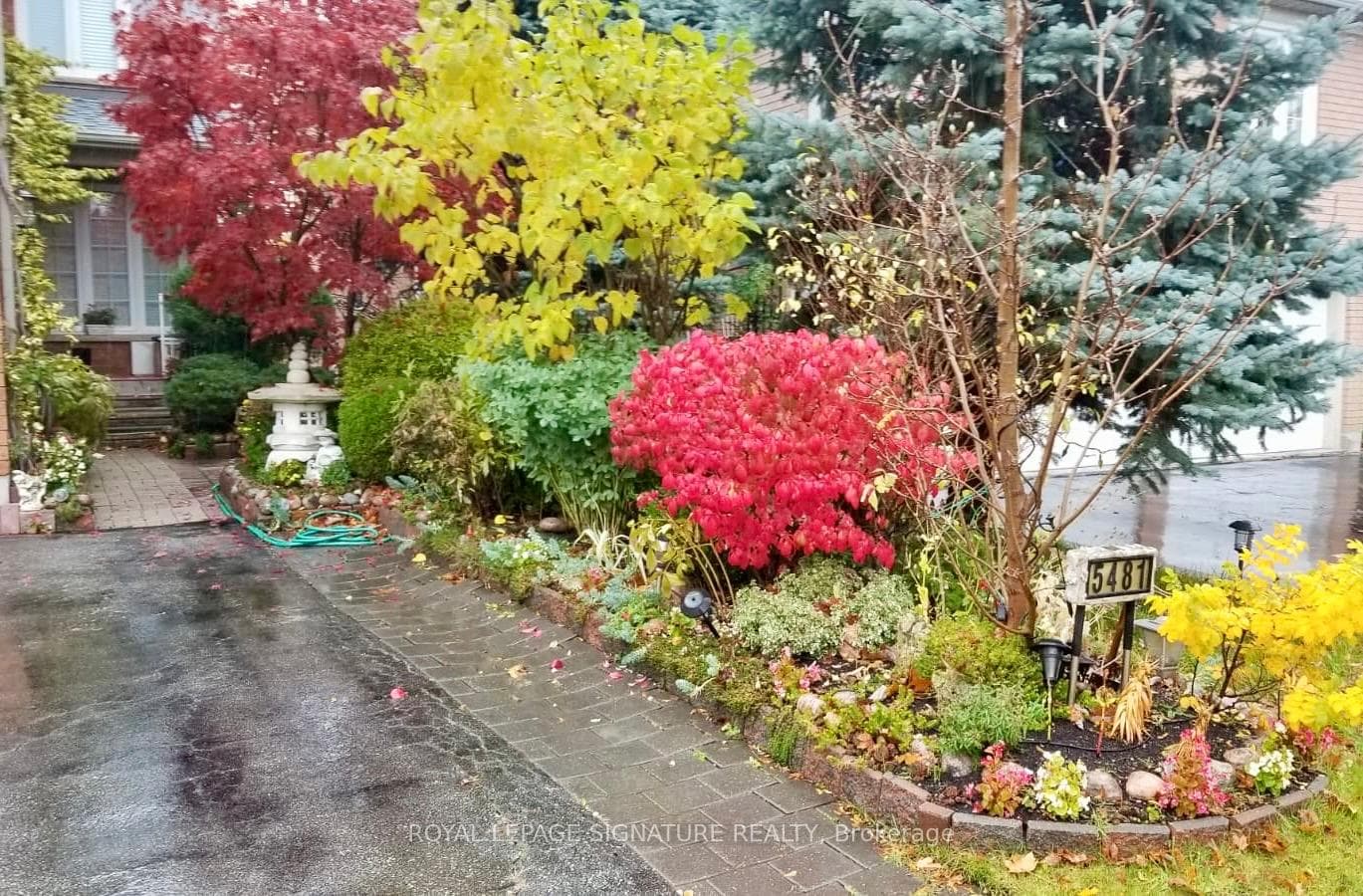 Blooming Garden In Summer