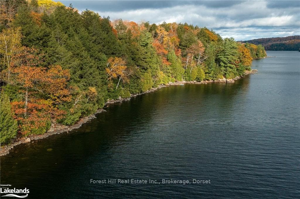 16750 KAWAGAMA LAKE N/A photo 2