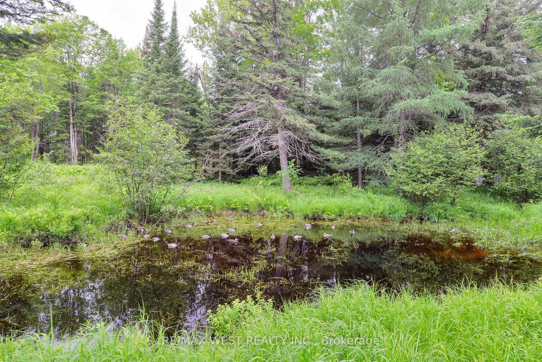 365 Clearwater Lake Road photo 10