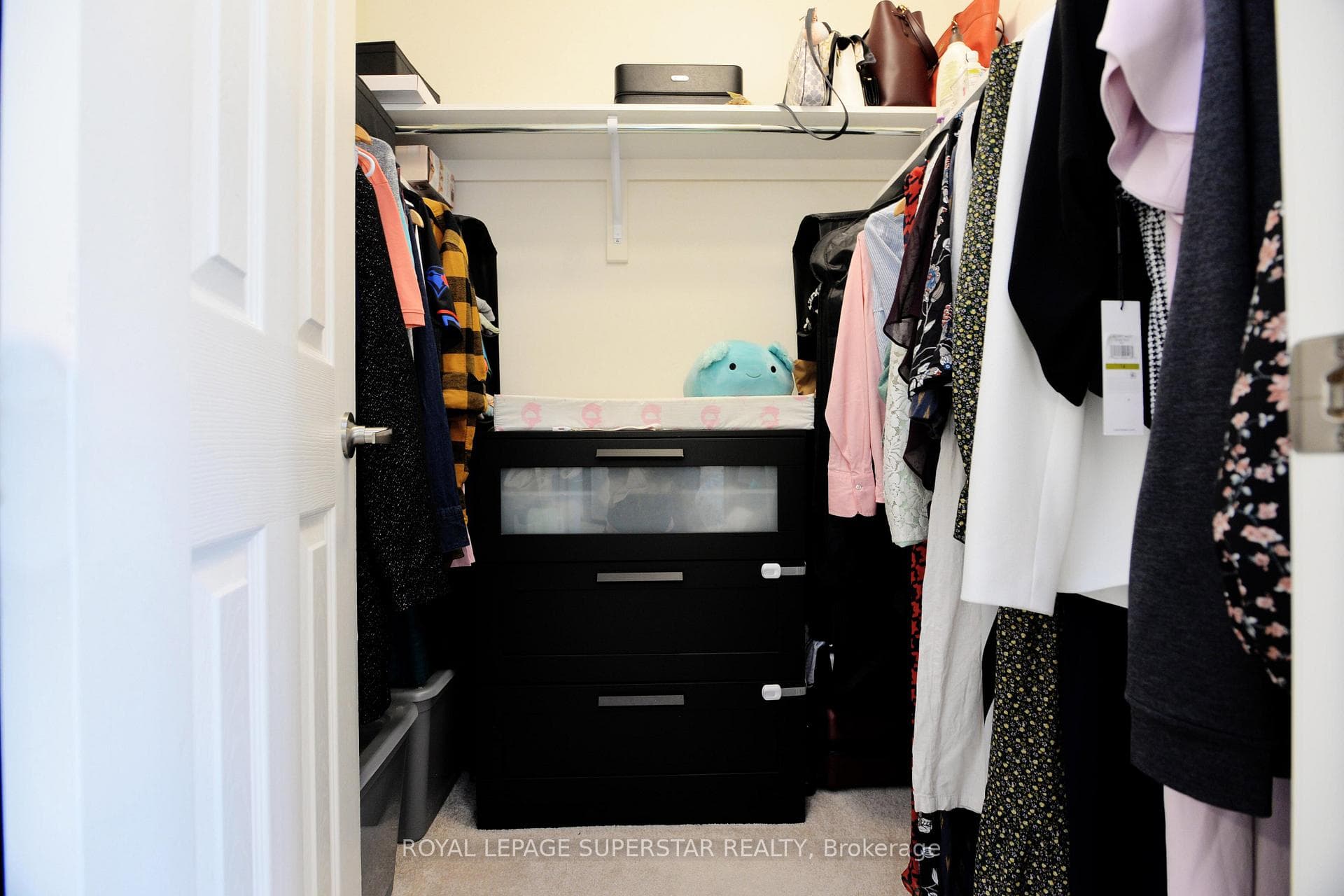 19 OLEARY Road photo 23