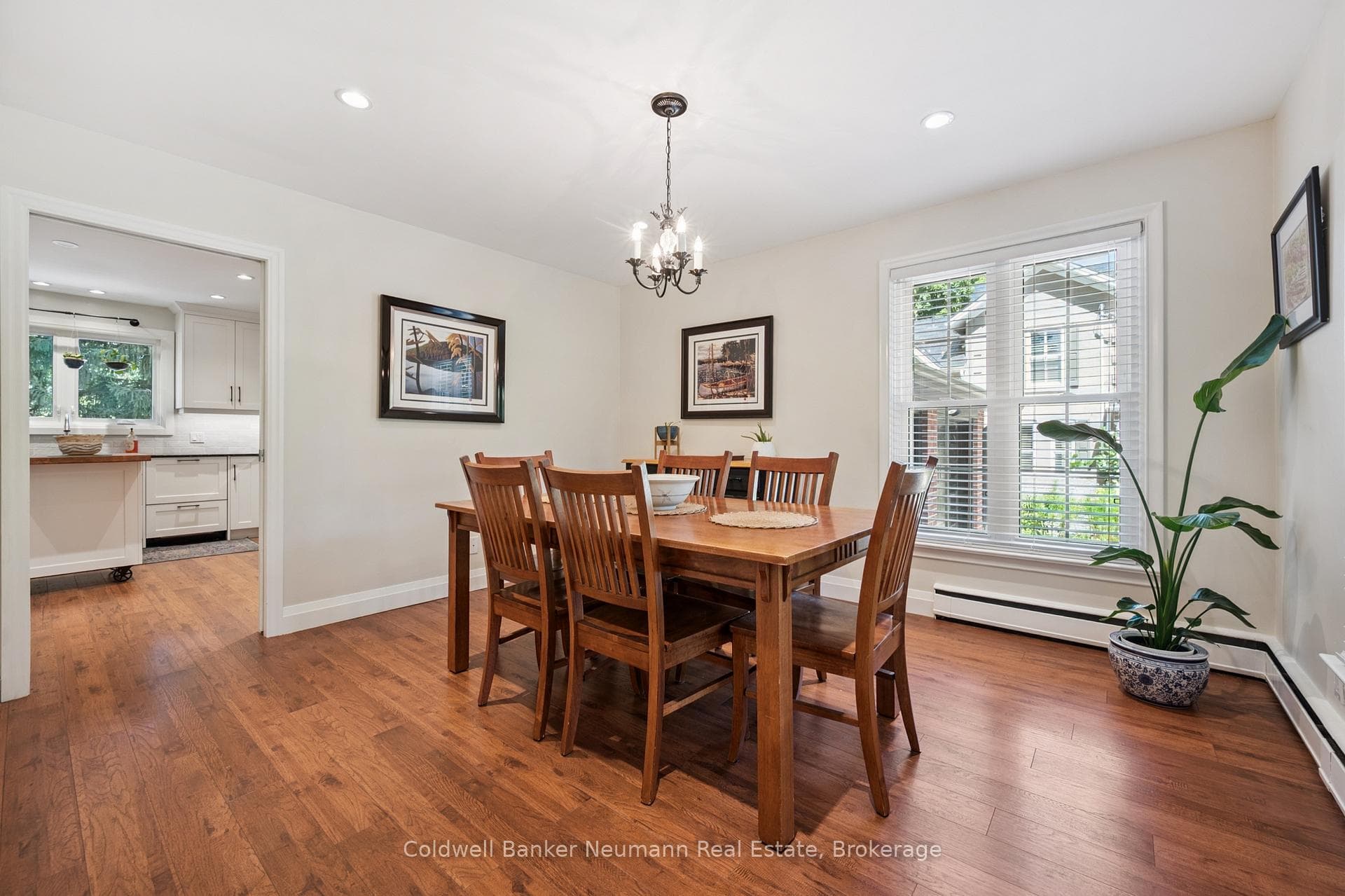 136 Palmer Street photo 11