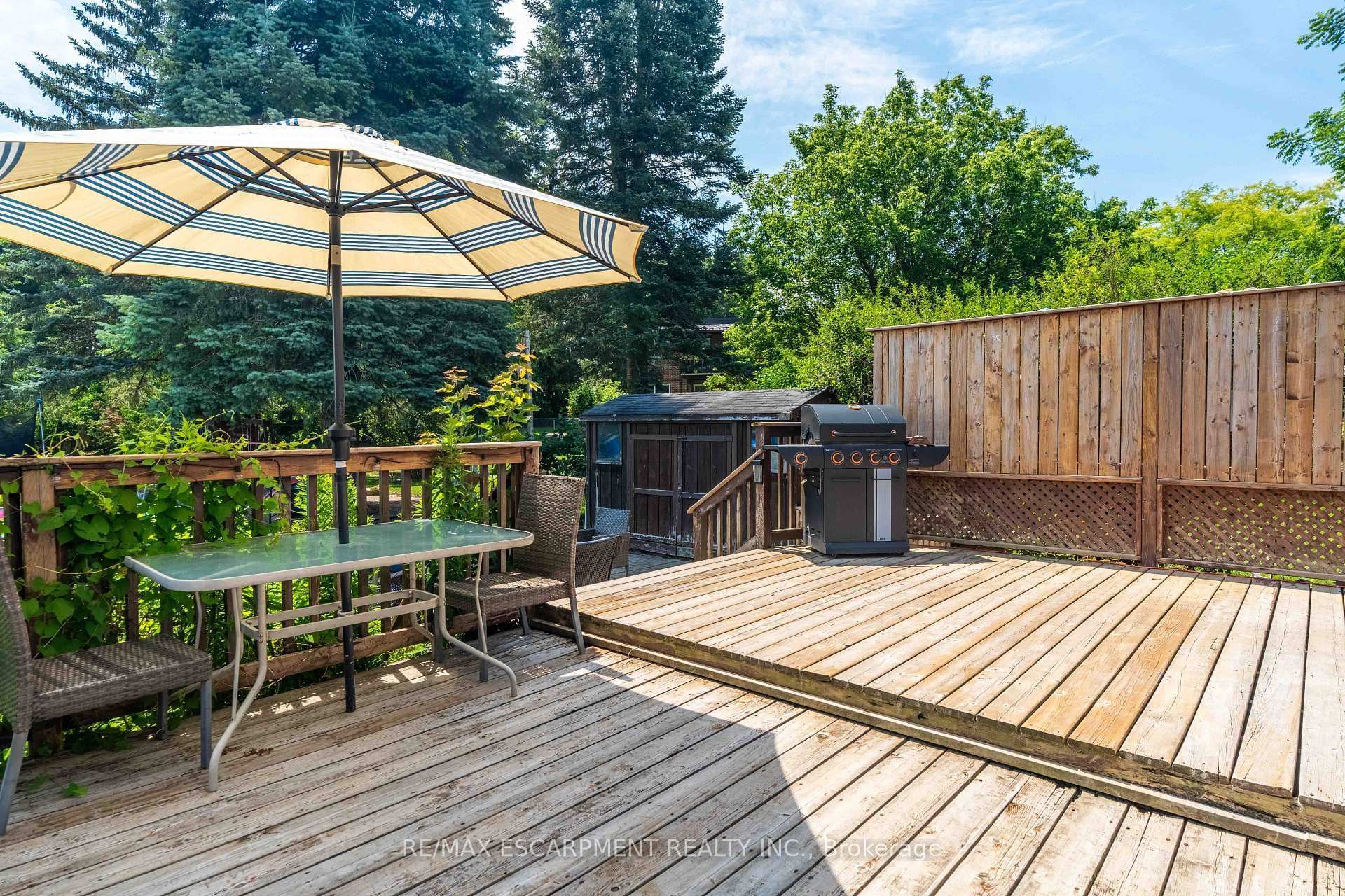 54 SELKIRK Street photo 38
