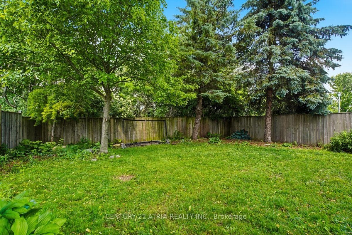 806 Marigold Street photo 35