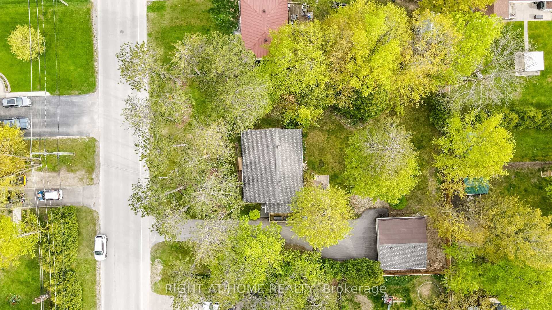 227 Scott Street photo 32
