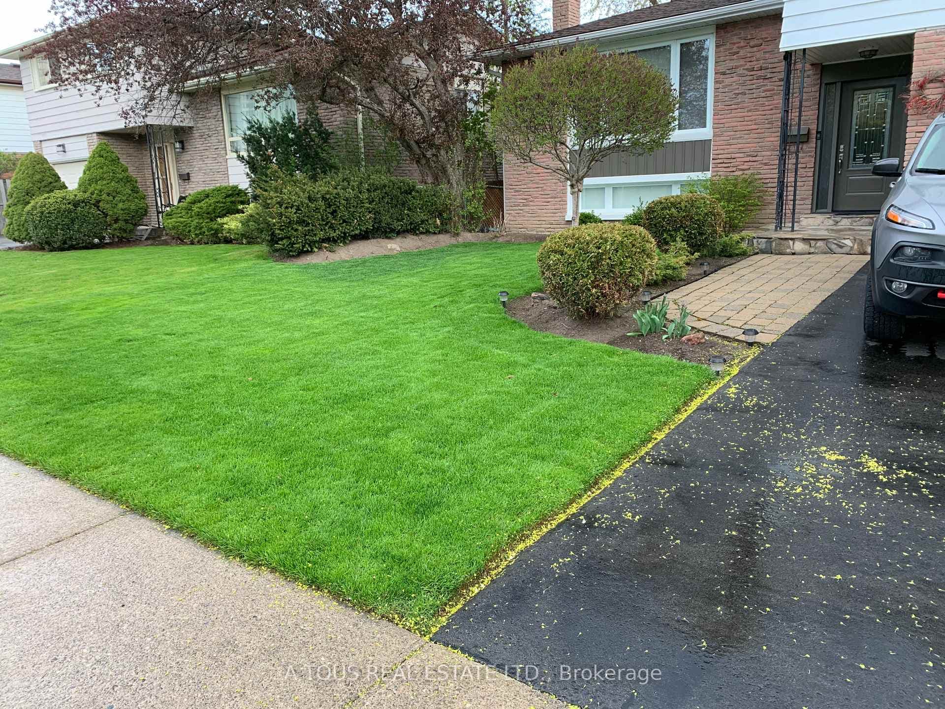 11 Edwin Drive photo 5
