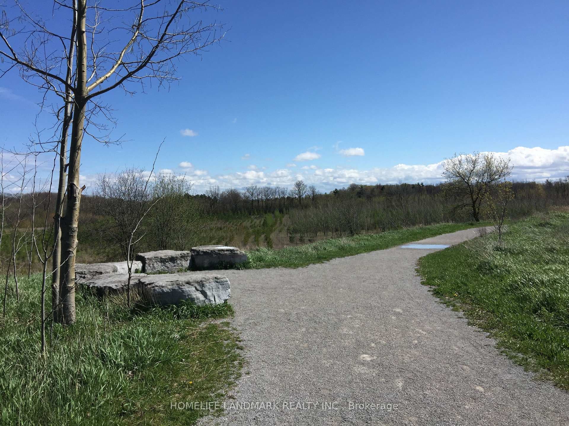 Trail Nearby