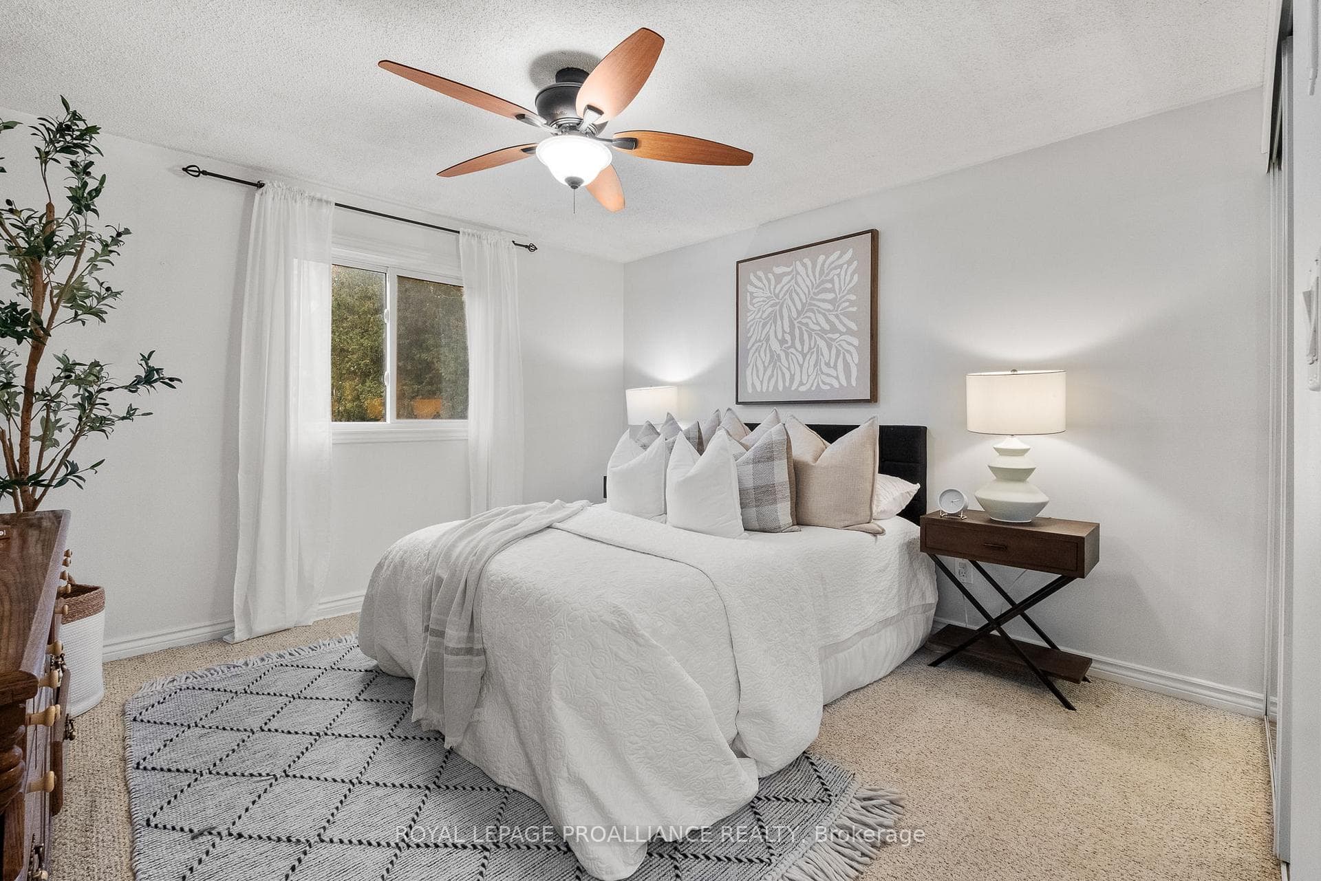 582 Carlisle Street photo 13