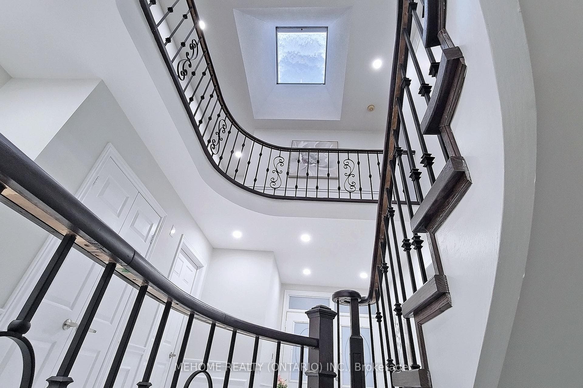 56 Dalmatian Crescent photo 20
