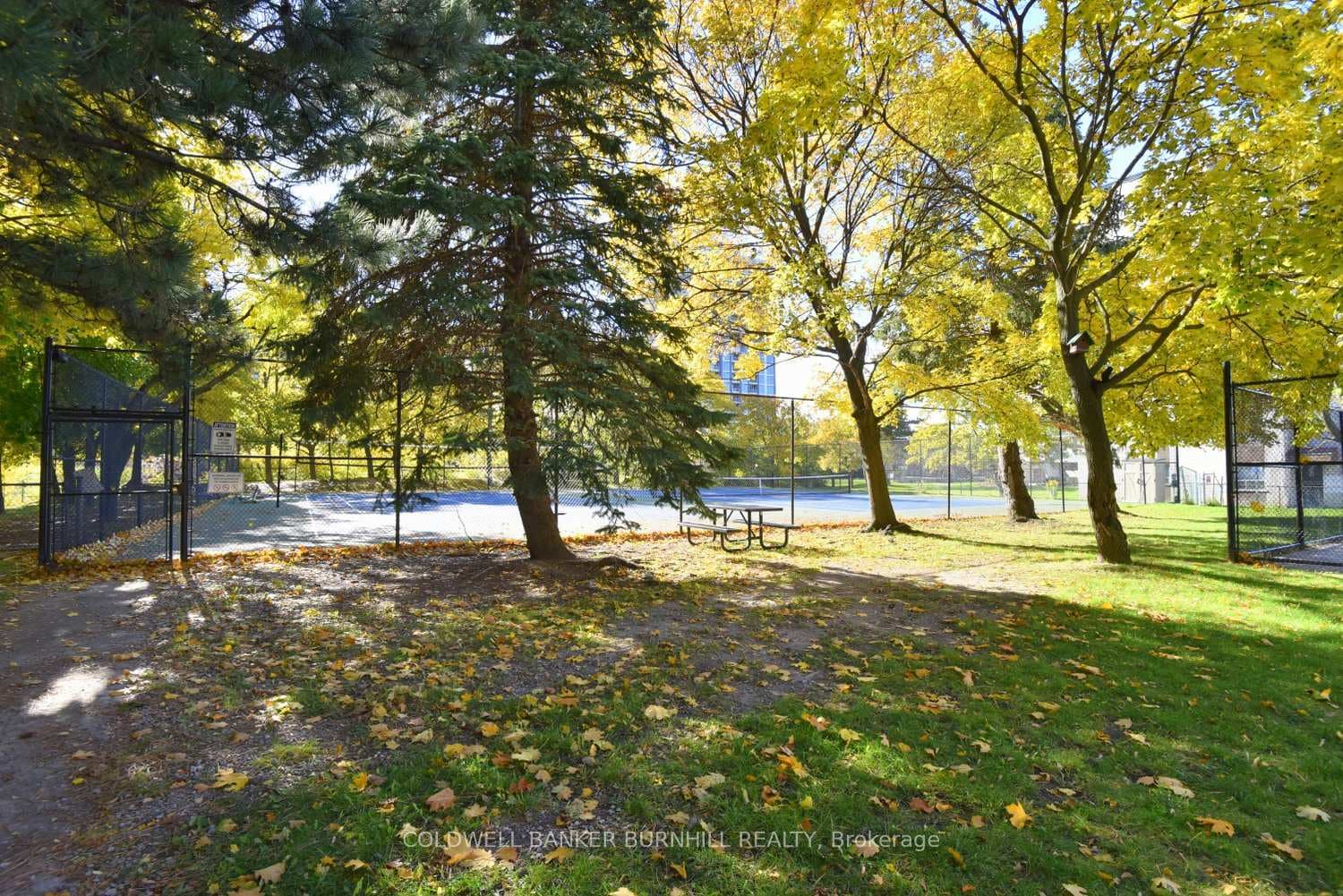 627 The West Mall N/A Unit 802 photo 47