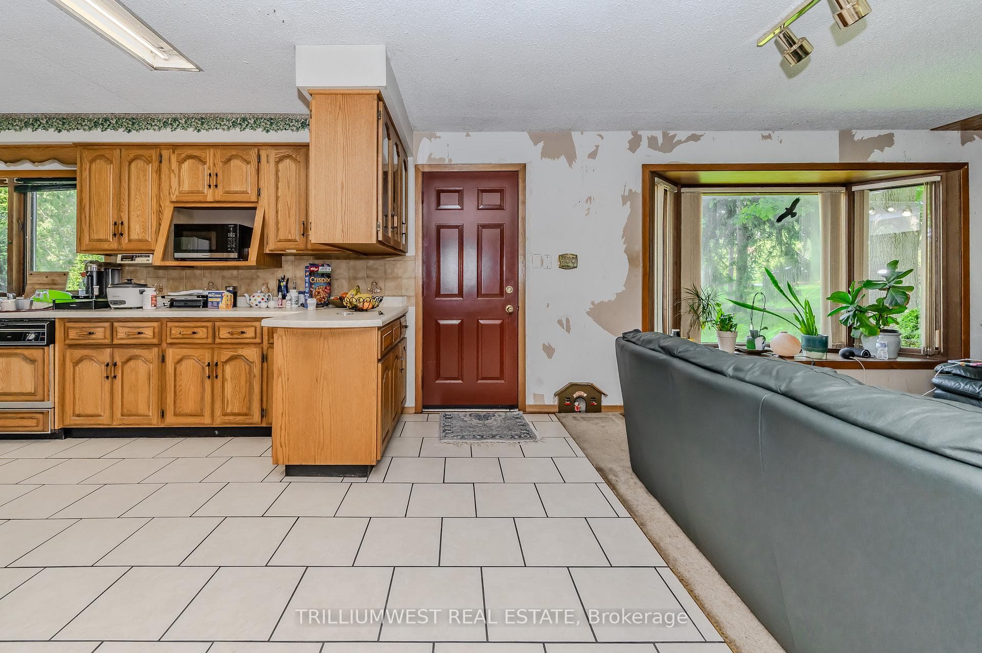 61 Limerick Drive photo 11