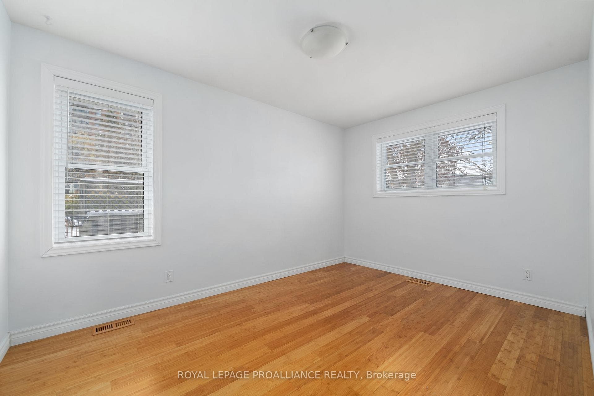 163 Hastings Drive photo 19