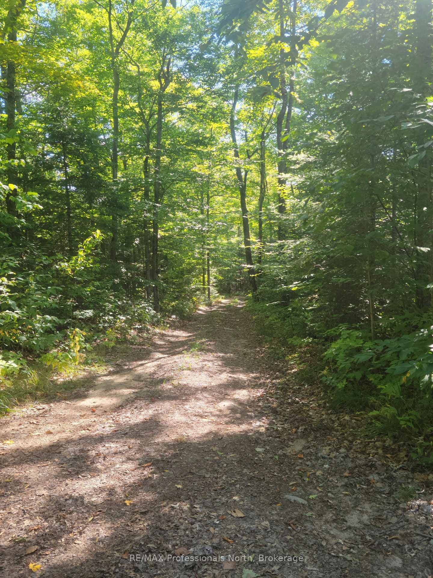 364 FORESTRY TOWER Road photo 36