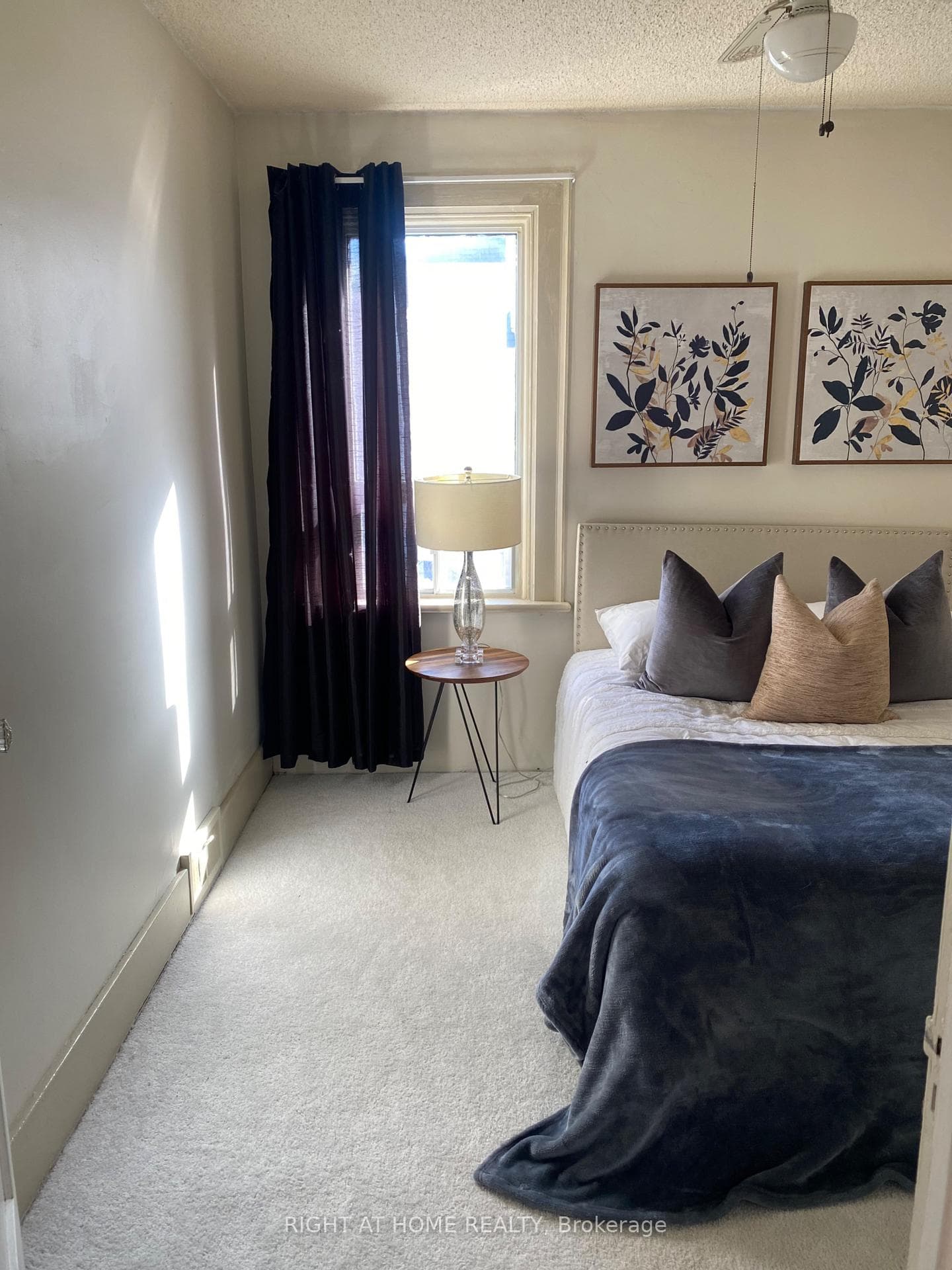 51 Frederick Street photo 24