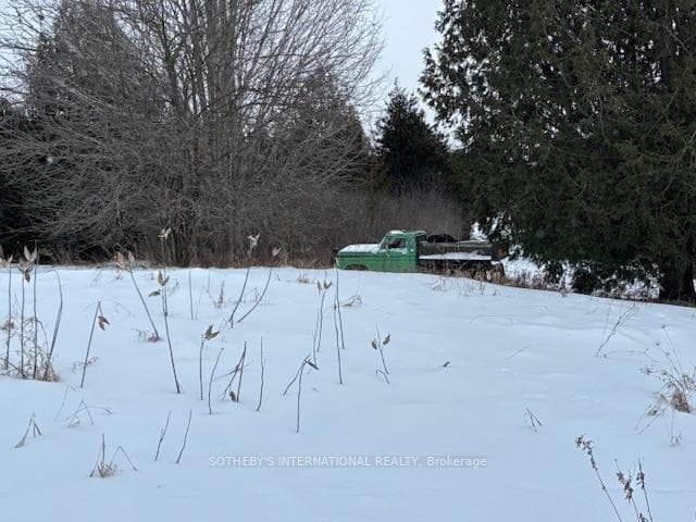 10641 Jellyby Road photo 5