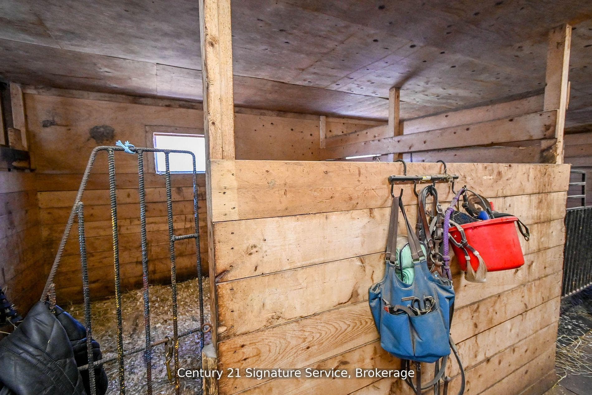 752 Empire Road photo 19