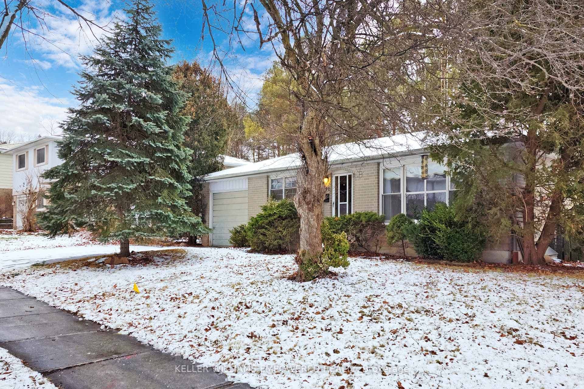 46 Hill Drive photo 2