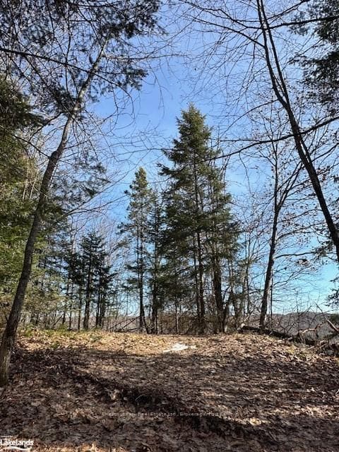 LOT 2 DWIGHT BEACH Road photo 42