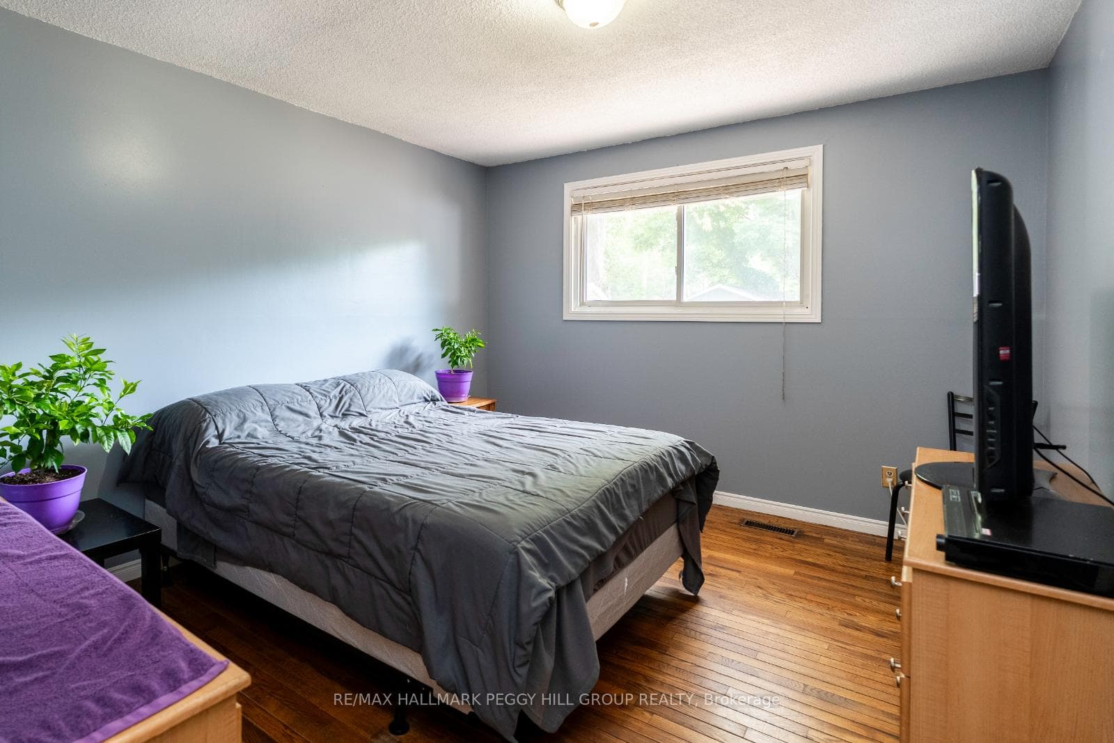 35 Ashburton Crescent photo 7