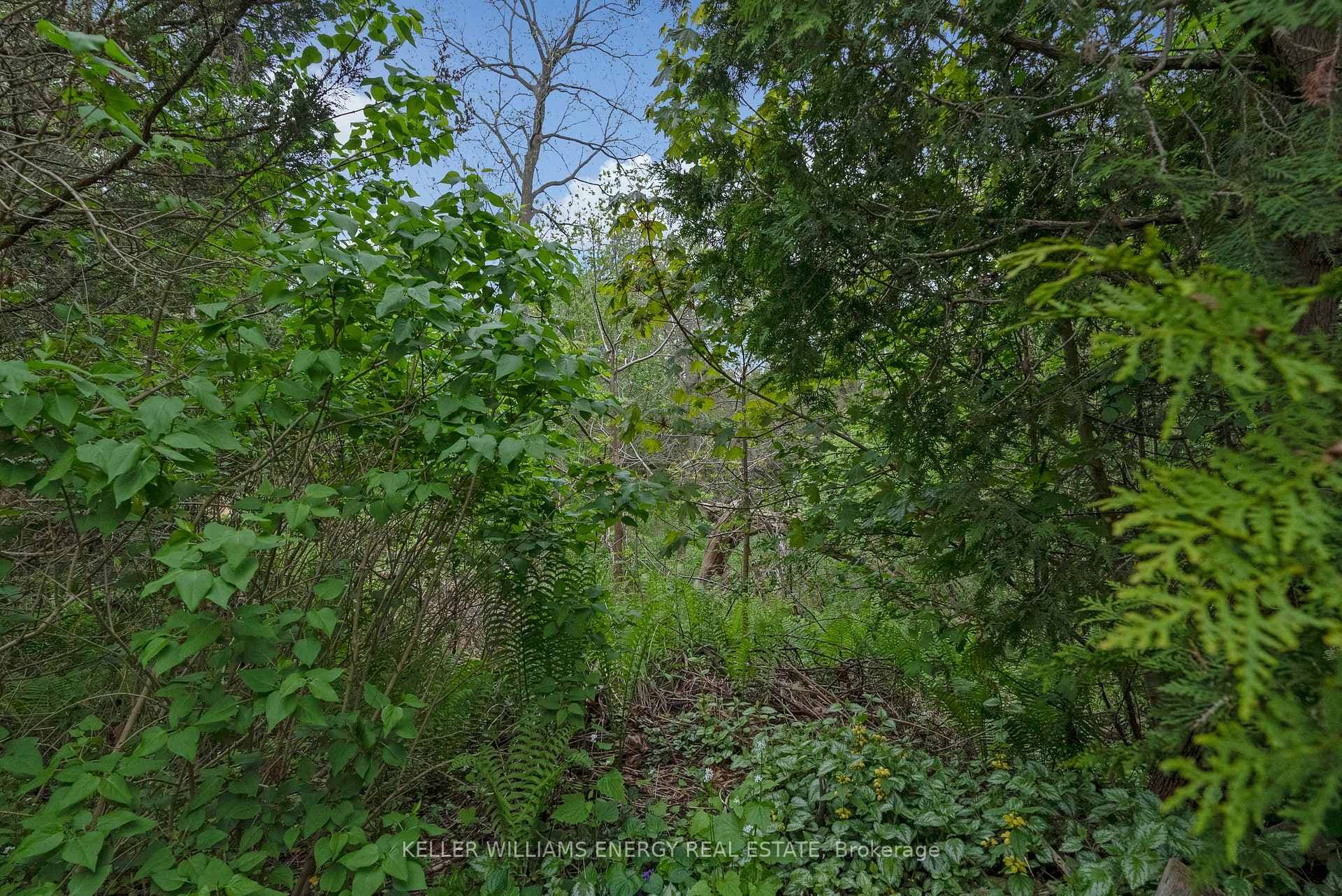 969 Frei Street photo 35