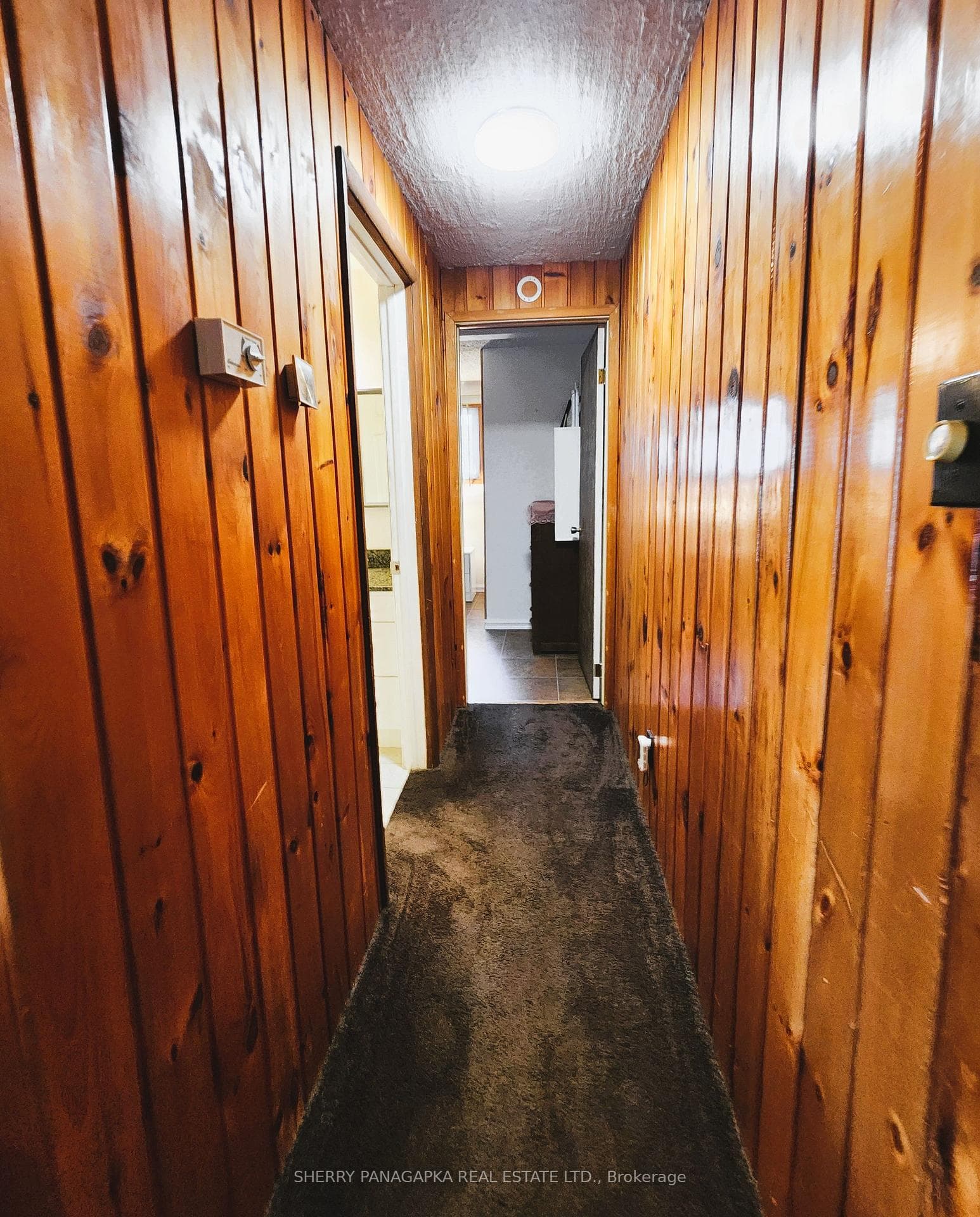 8 Mcphee Avenue photo 10