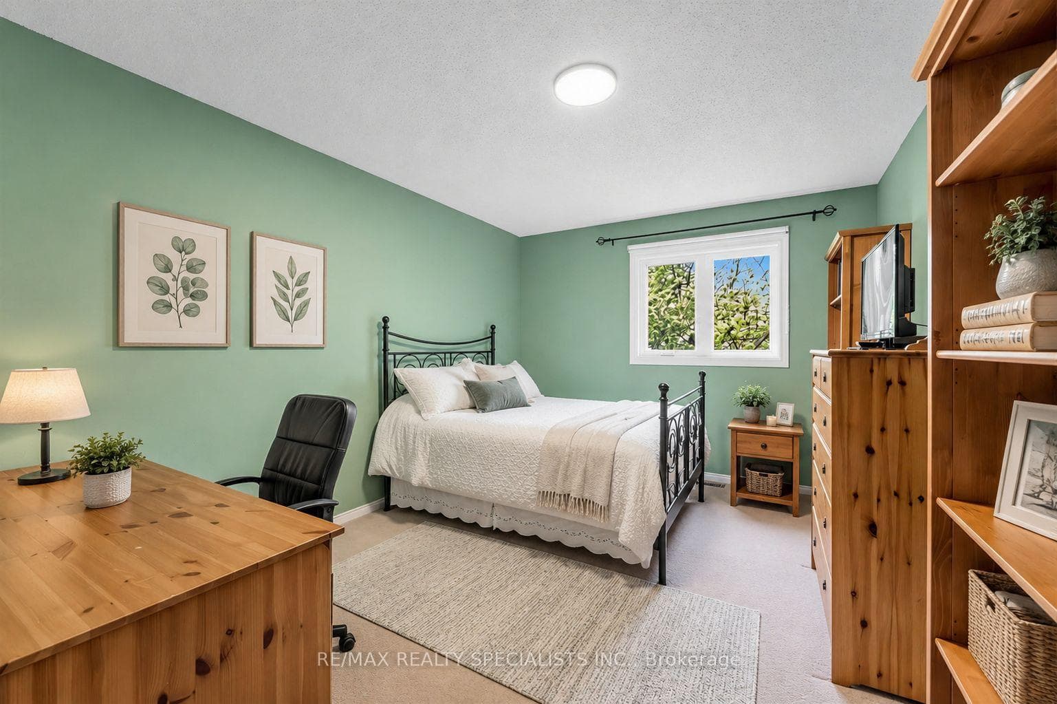 3519 Pintail Circle photo 28