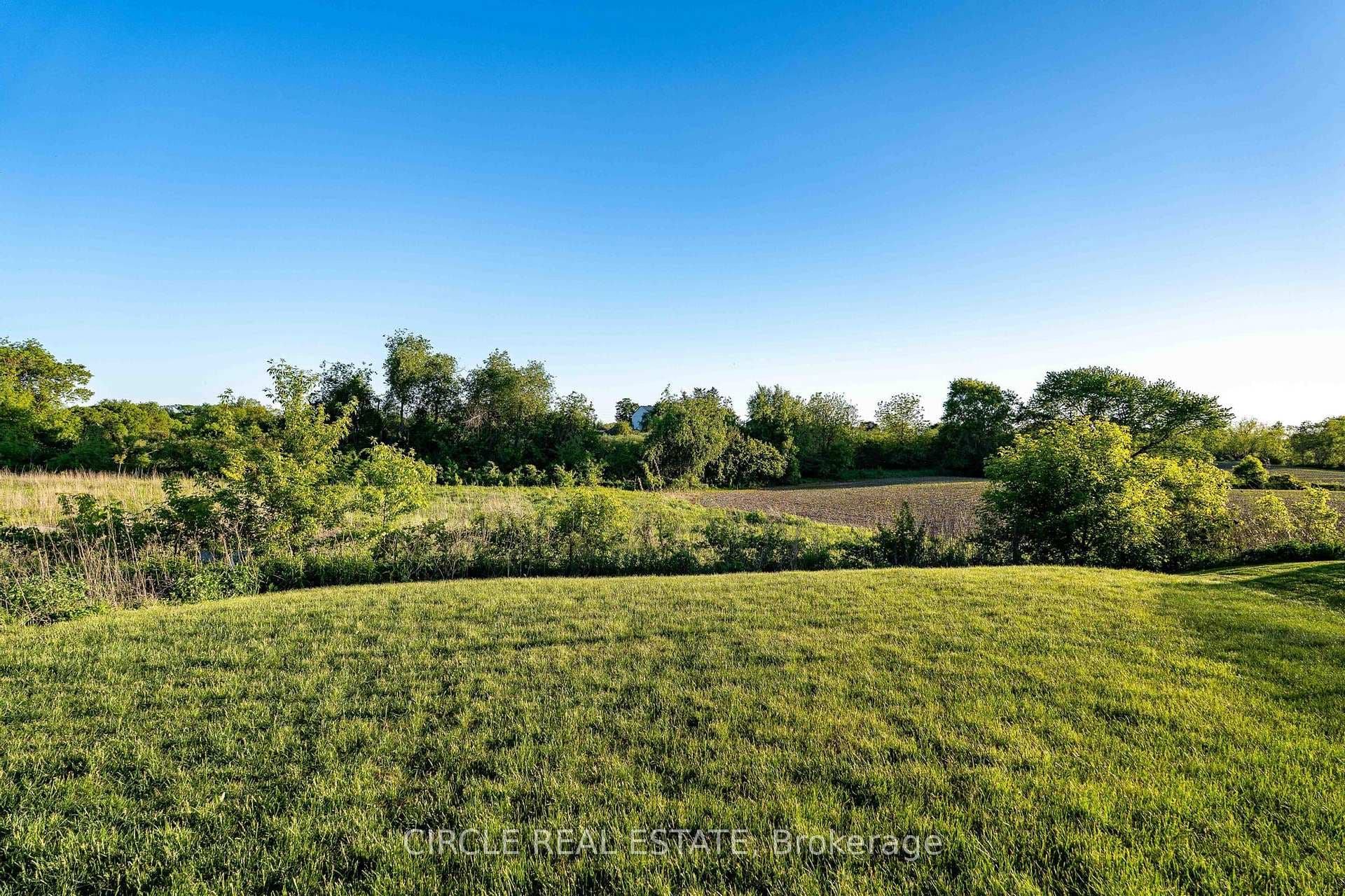 56 Langridge Way photo 40