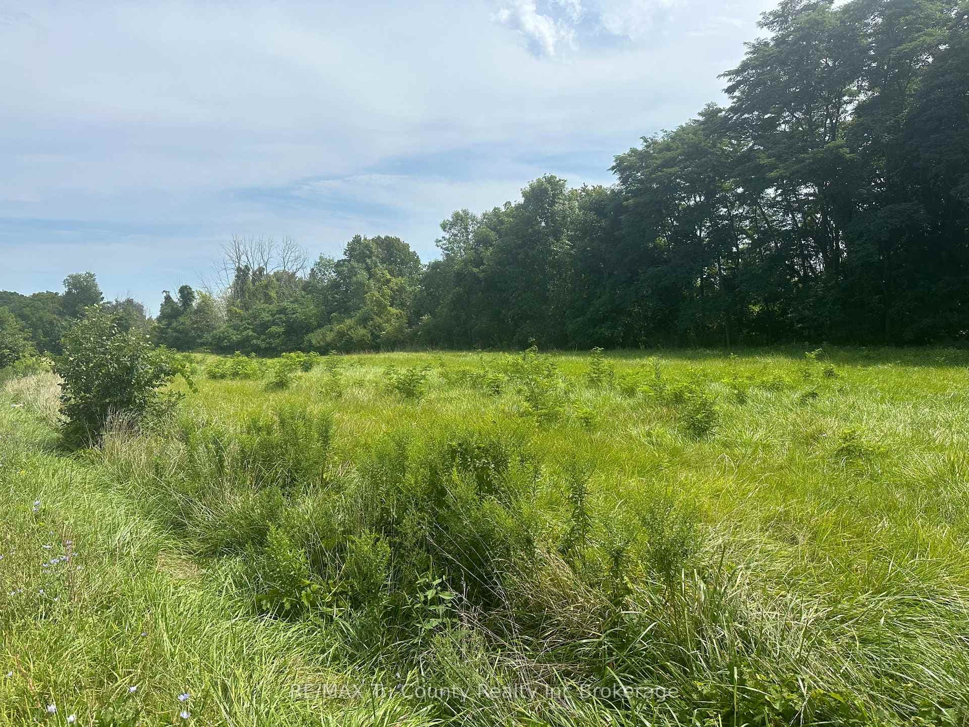 PT LT 3 LAKESHORE Road photo 6