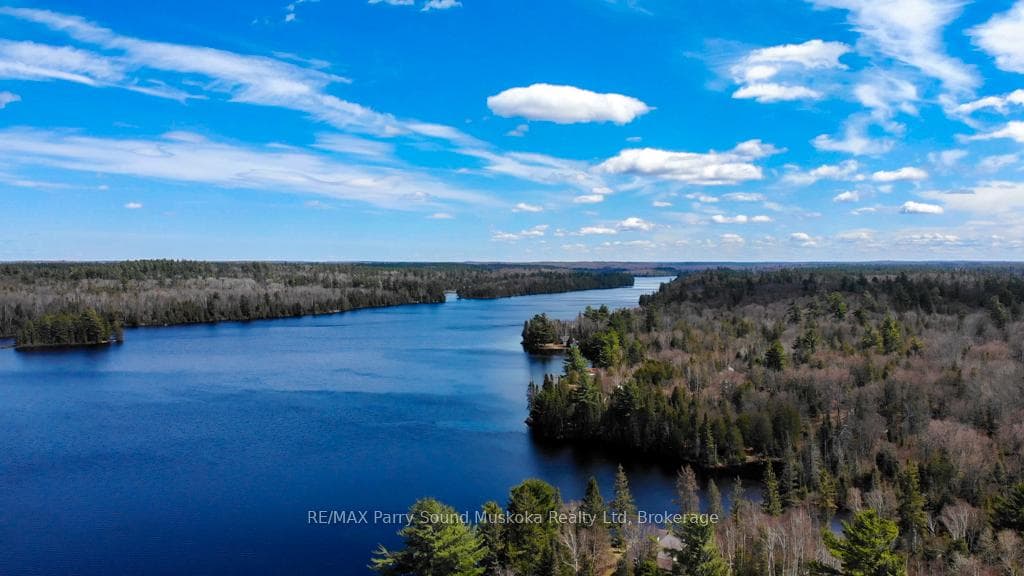 93 White Pine Road photo 44