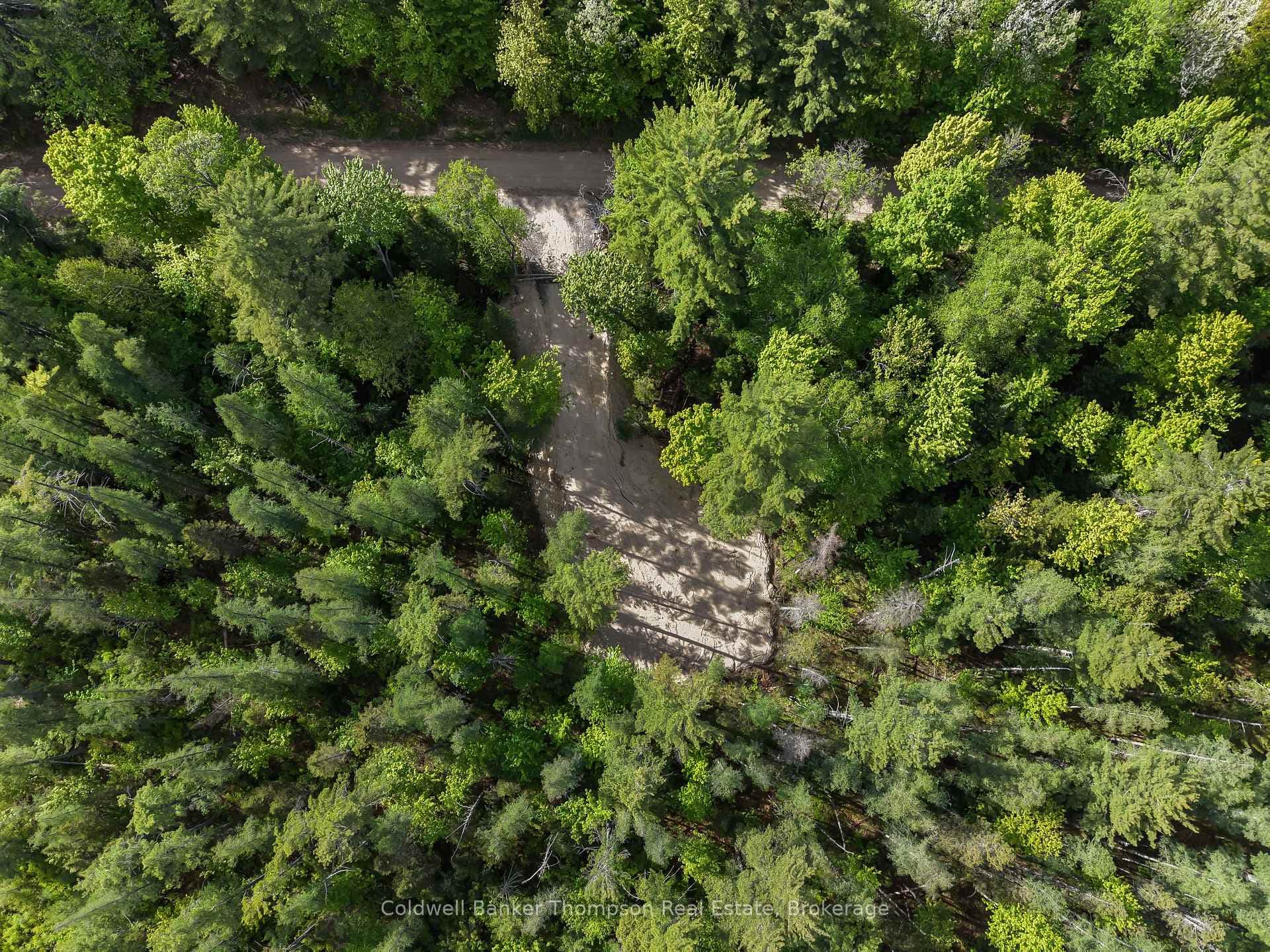 PART 6 AXE LAKE Road photo 2