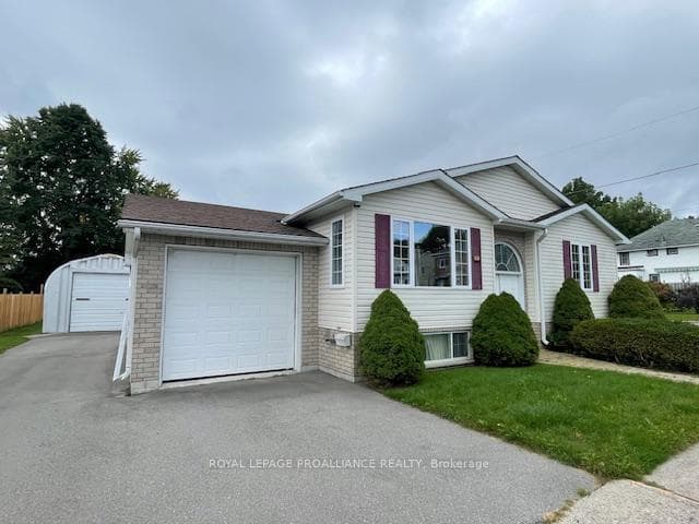 61 Wilkins Street photo 1