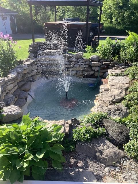 Pond