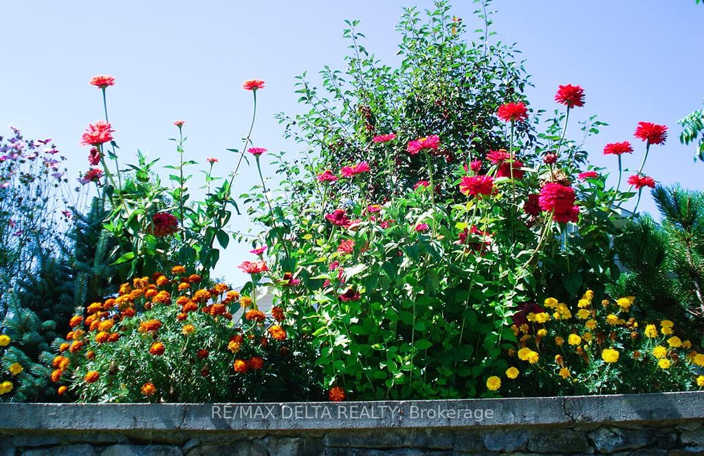 Flowers inside retaining wall.
