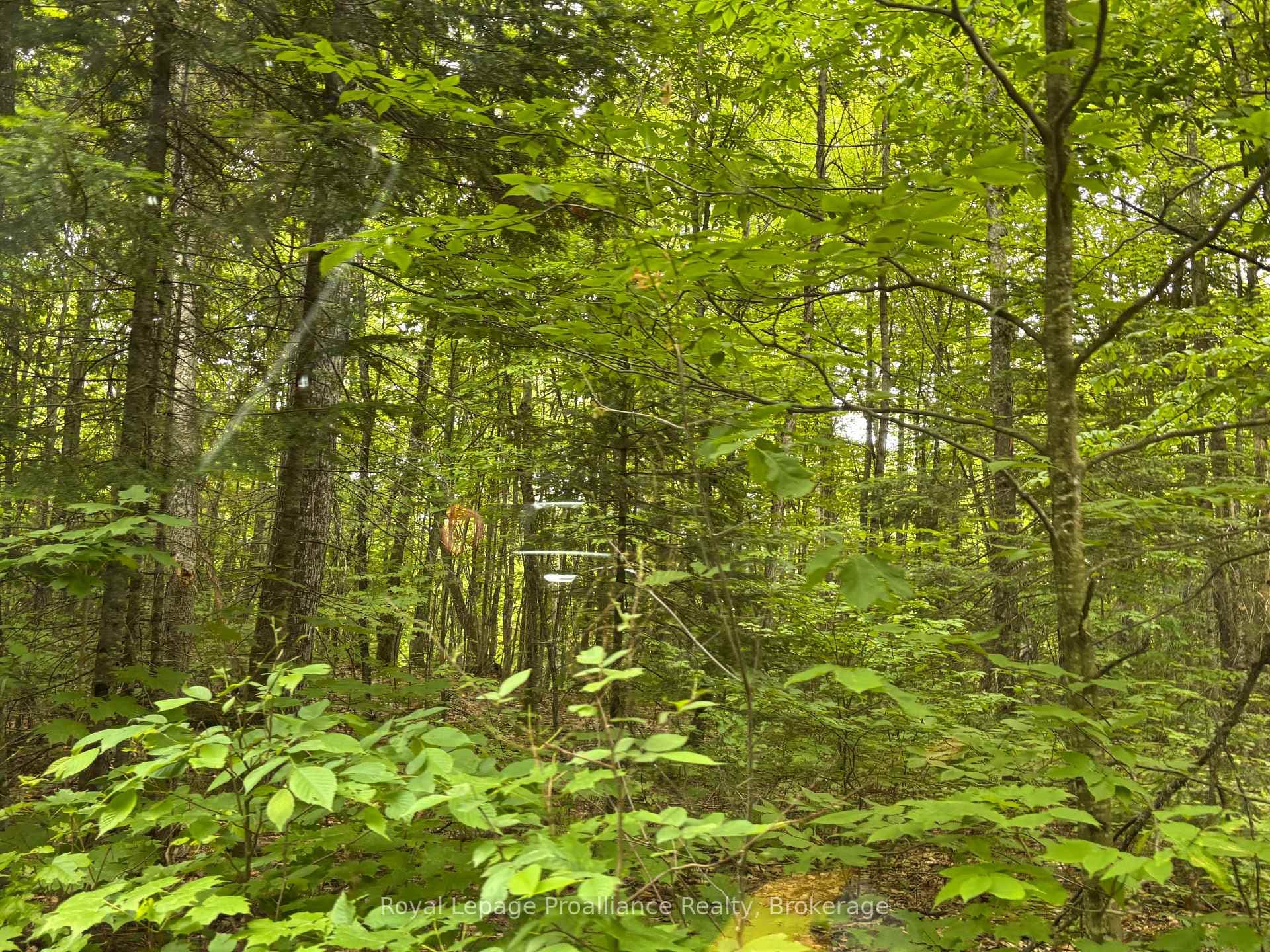 1623 Madawaska Road photo 6