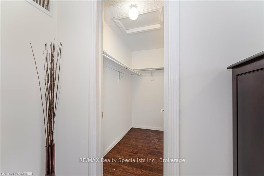 Walk in closet featuring dark hardwood / wood-styl