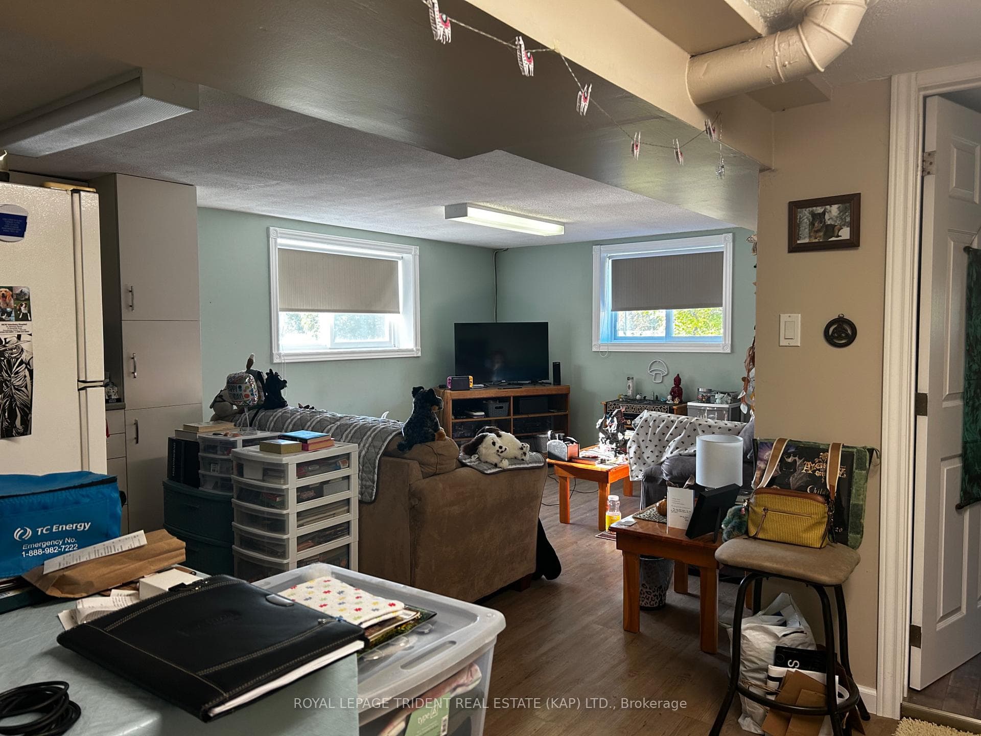 Family room area (Basement)